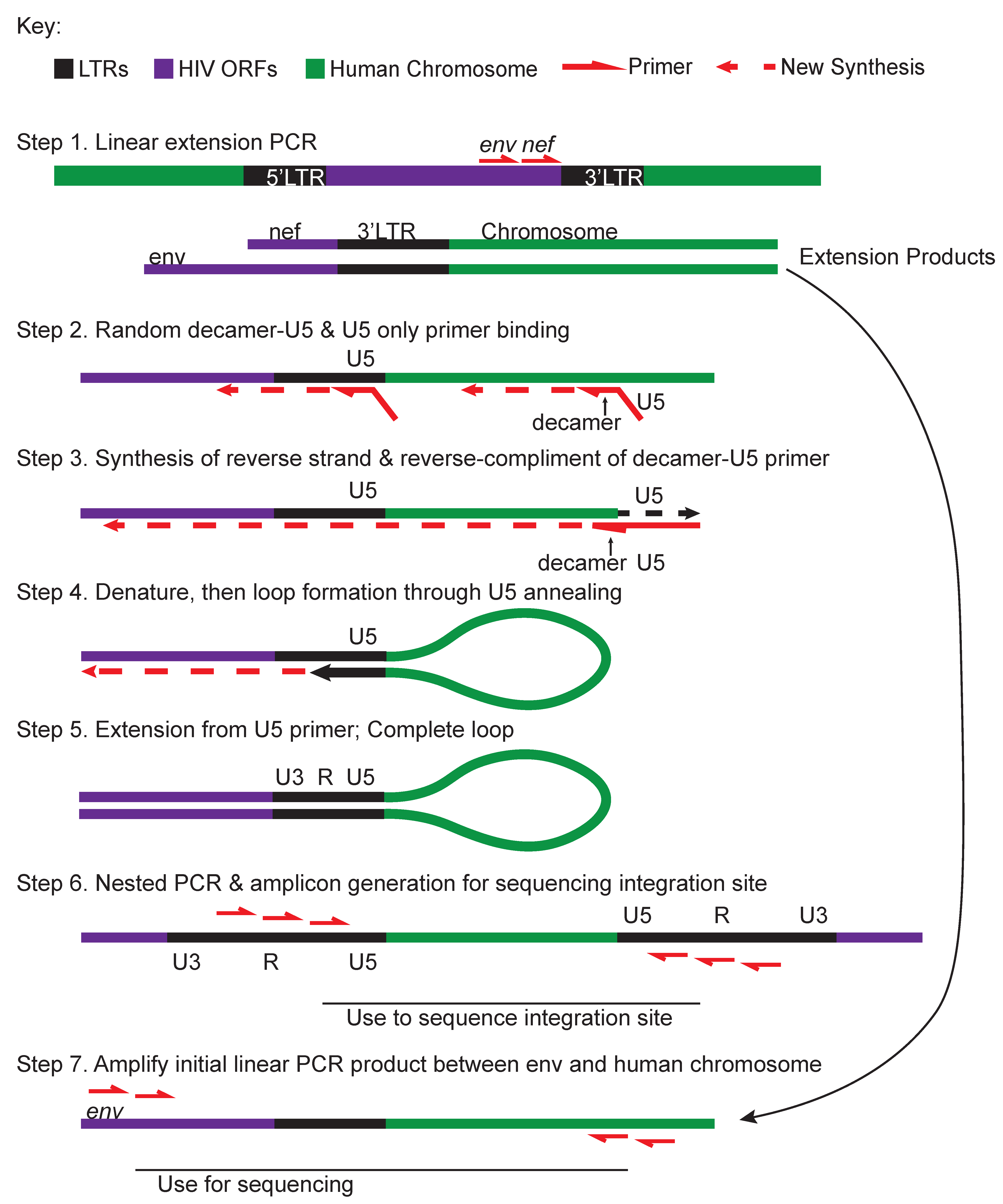 Viruses 12 00127 g005