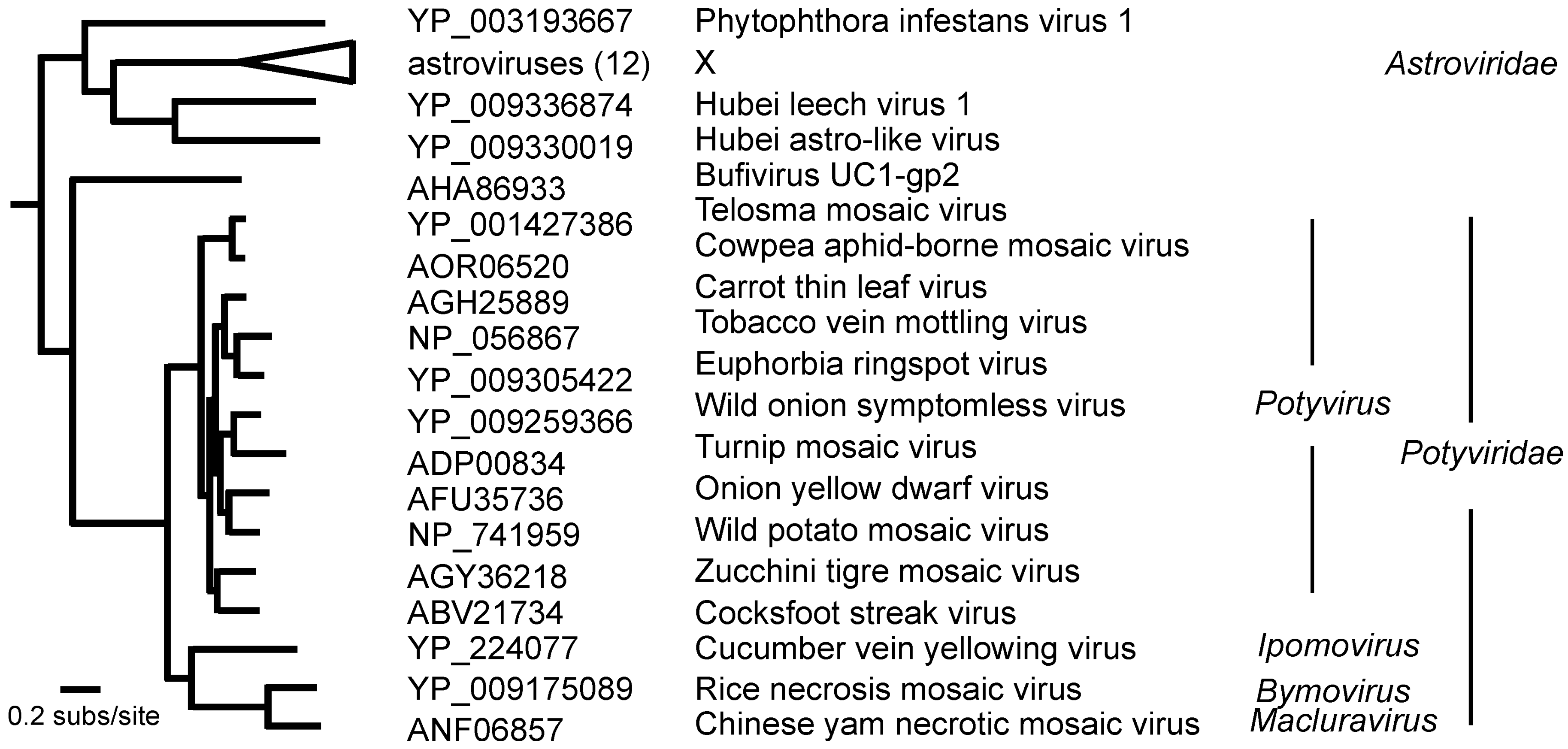 Viruses 12 00132 g001 Viruses 12 00132 g001