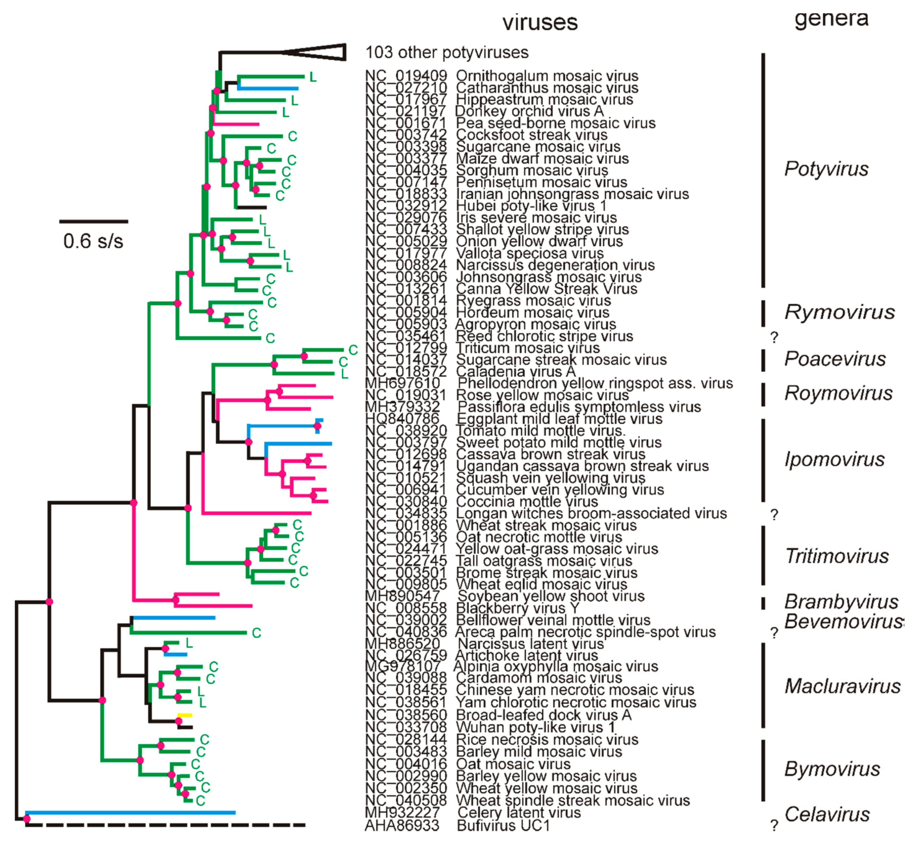 Viruses 12 00132 g002 Viruses 12 00132 g002