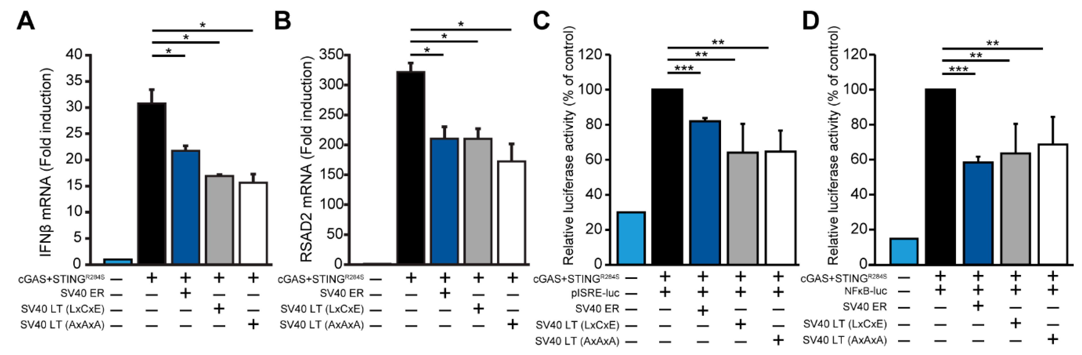 Viruses 12 00137 g004