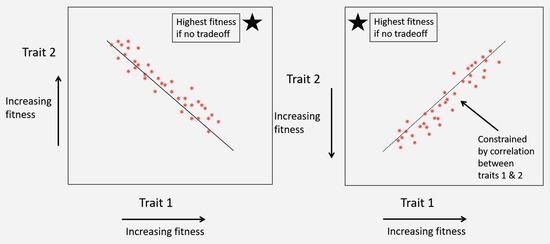 Viruses 12 00141 g009