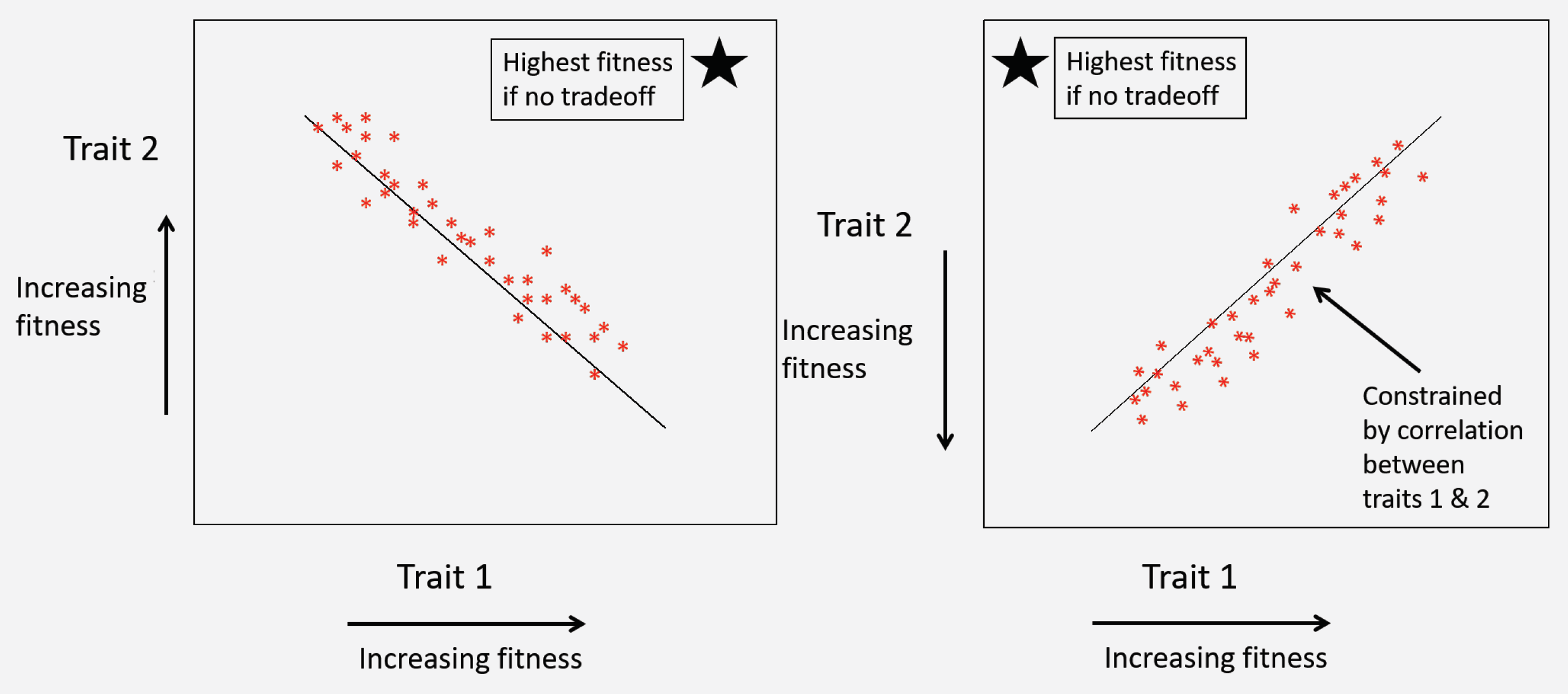 Viruses 12 00141 g009