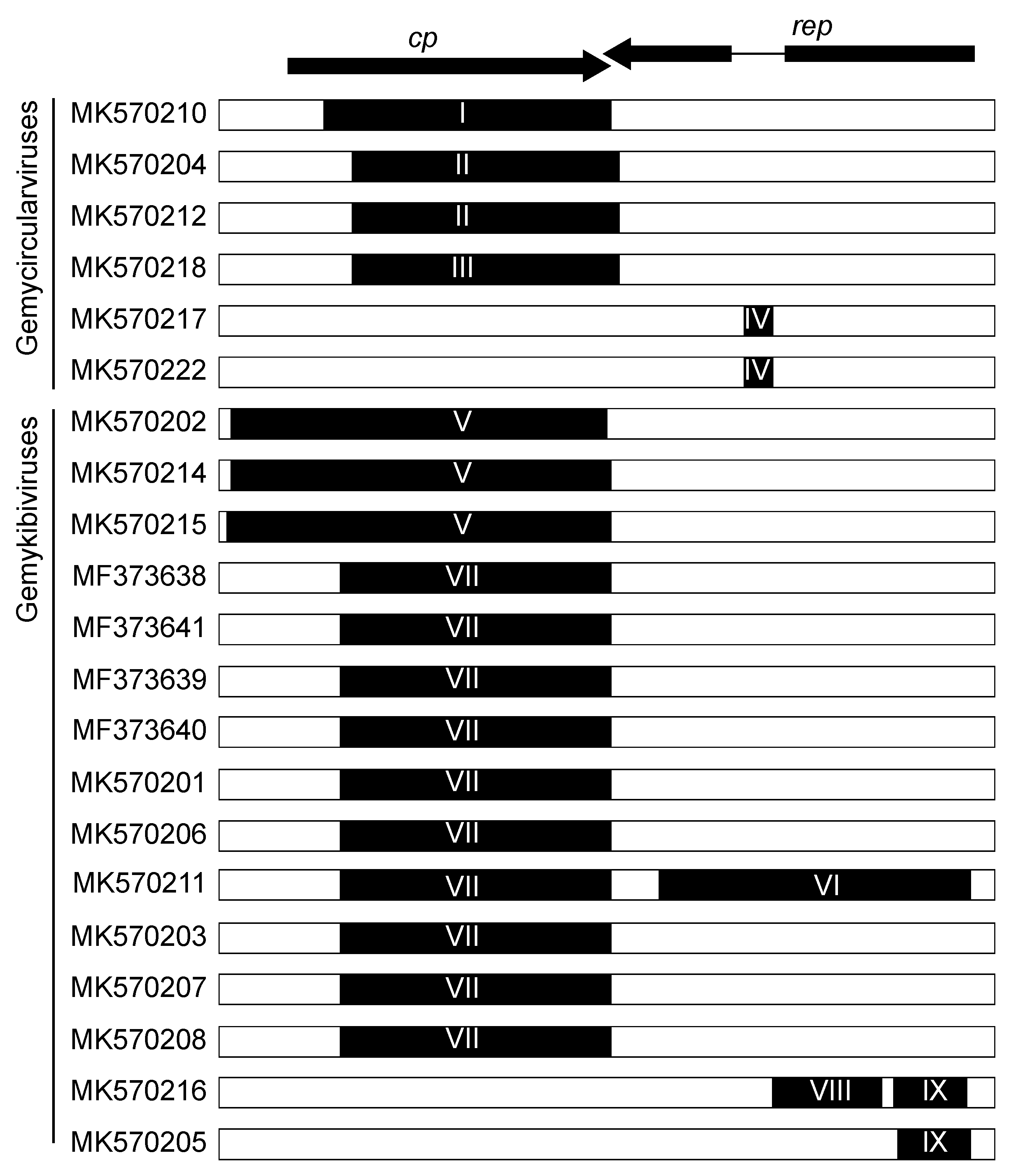 Viruses 12 00143 g002 Viruses 12 00143 g002
