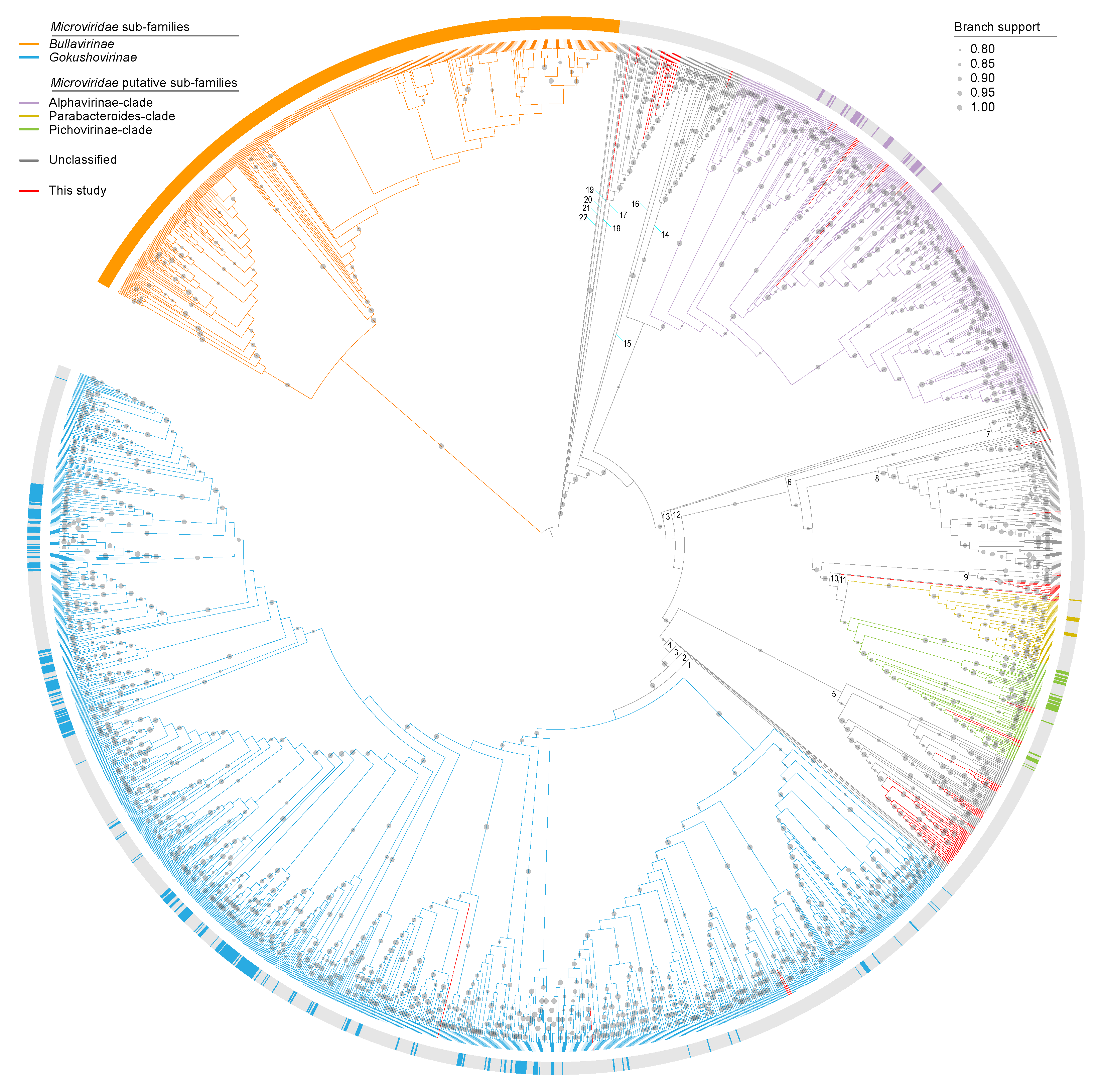 Viruses 12 00143 g005 Viruses 12 00143 g005