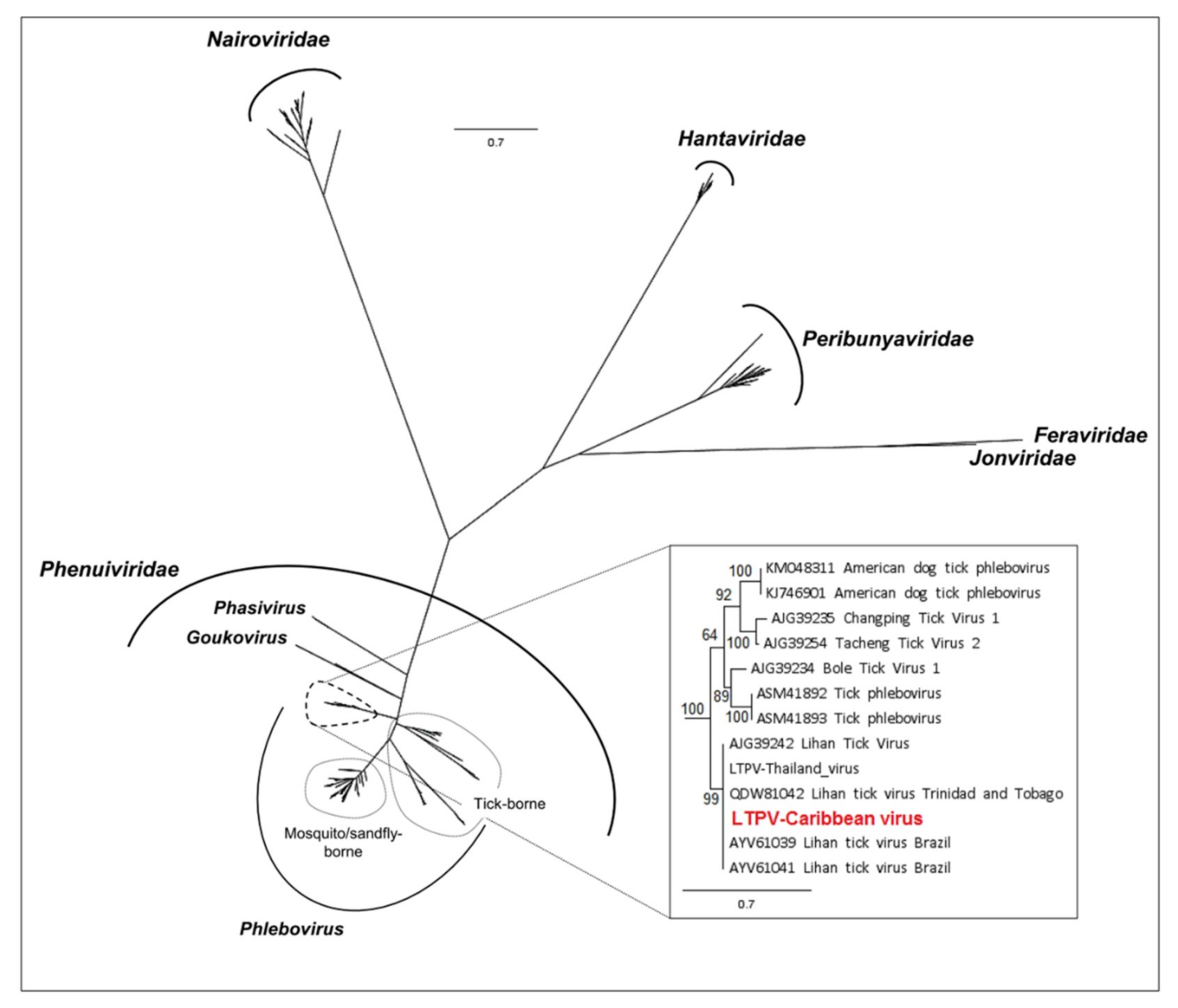 Viruses 12 00144 g003