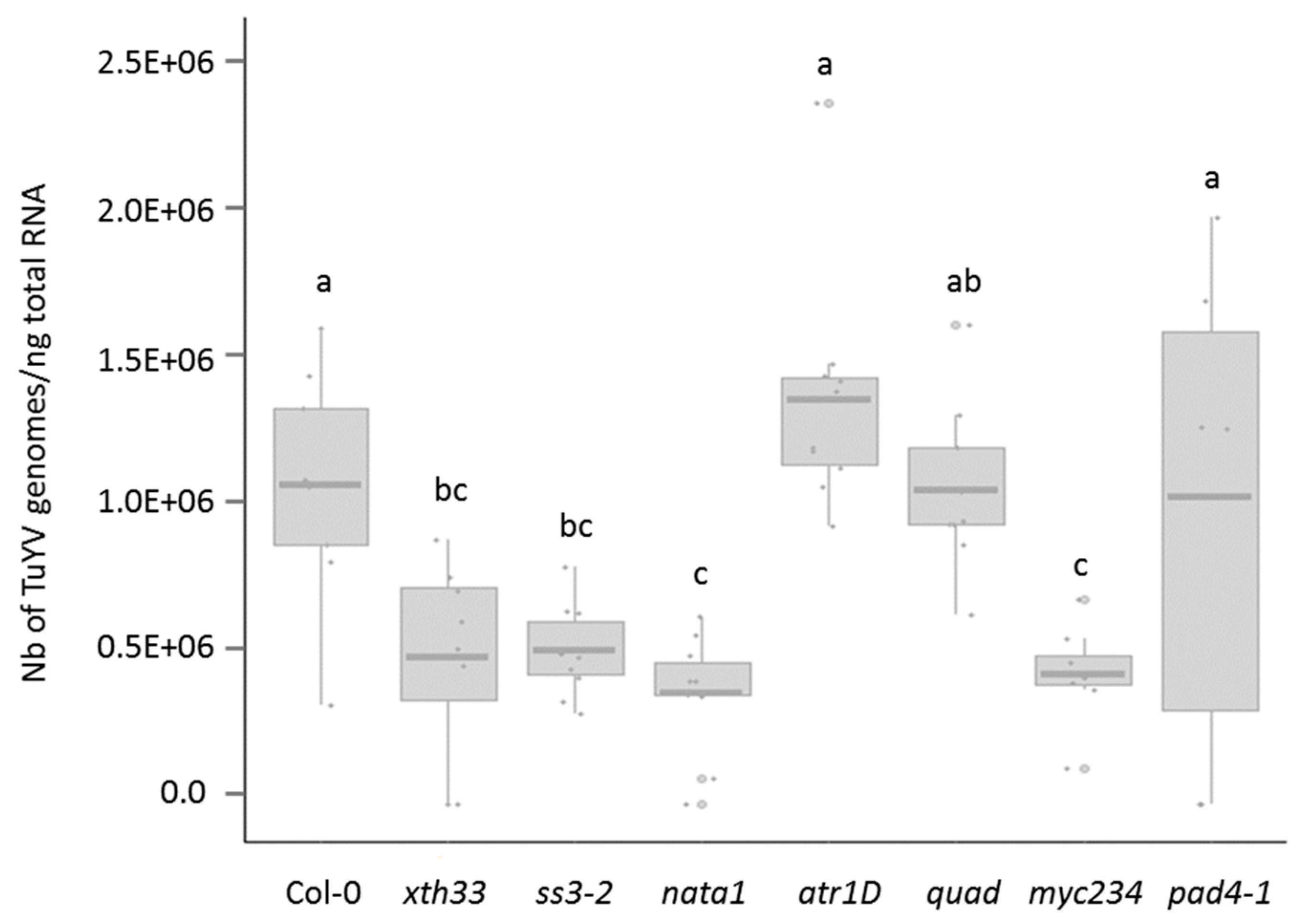 Viruses 12 00146 g001