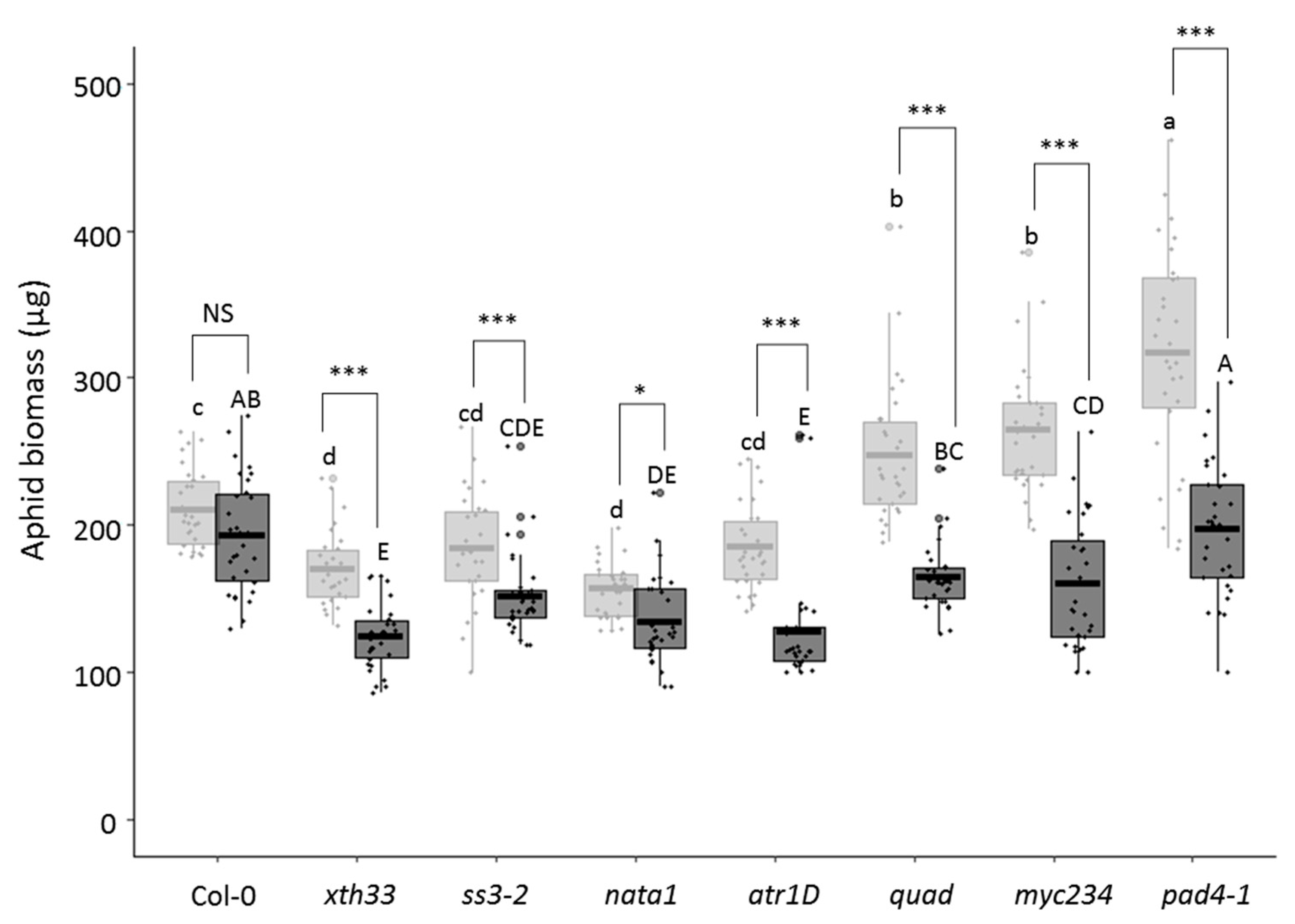 Viruses 12 00146 g002