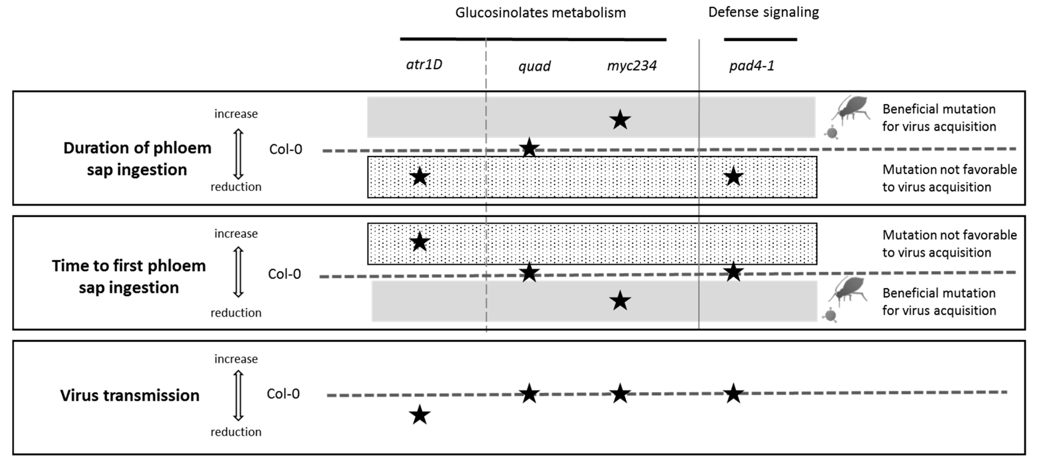 Viruses 12 00146 g003
