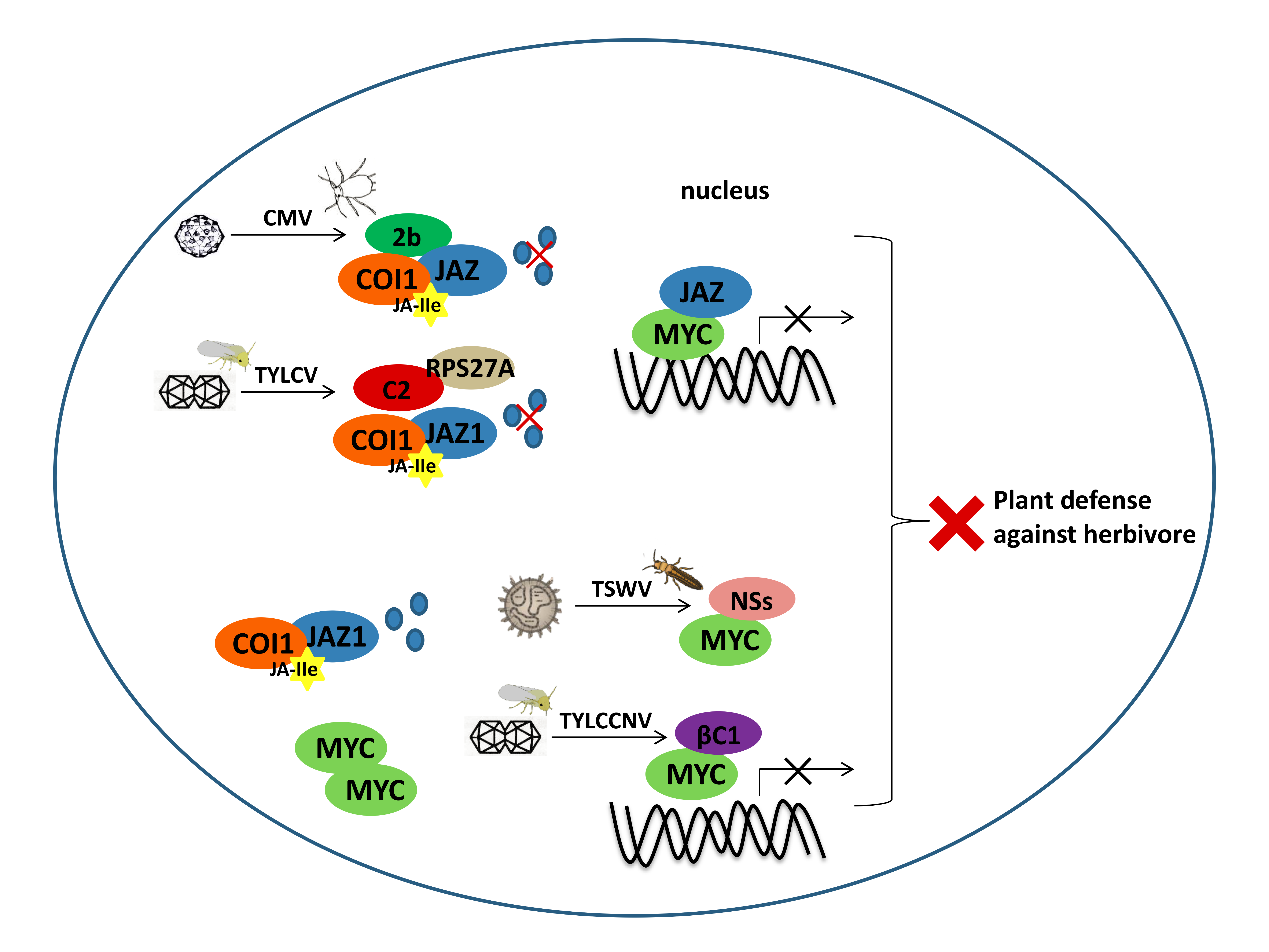 Viruses 12 00148 g002