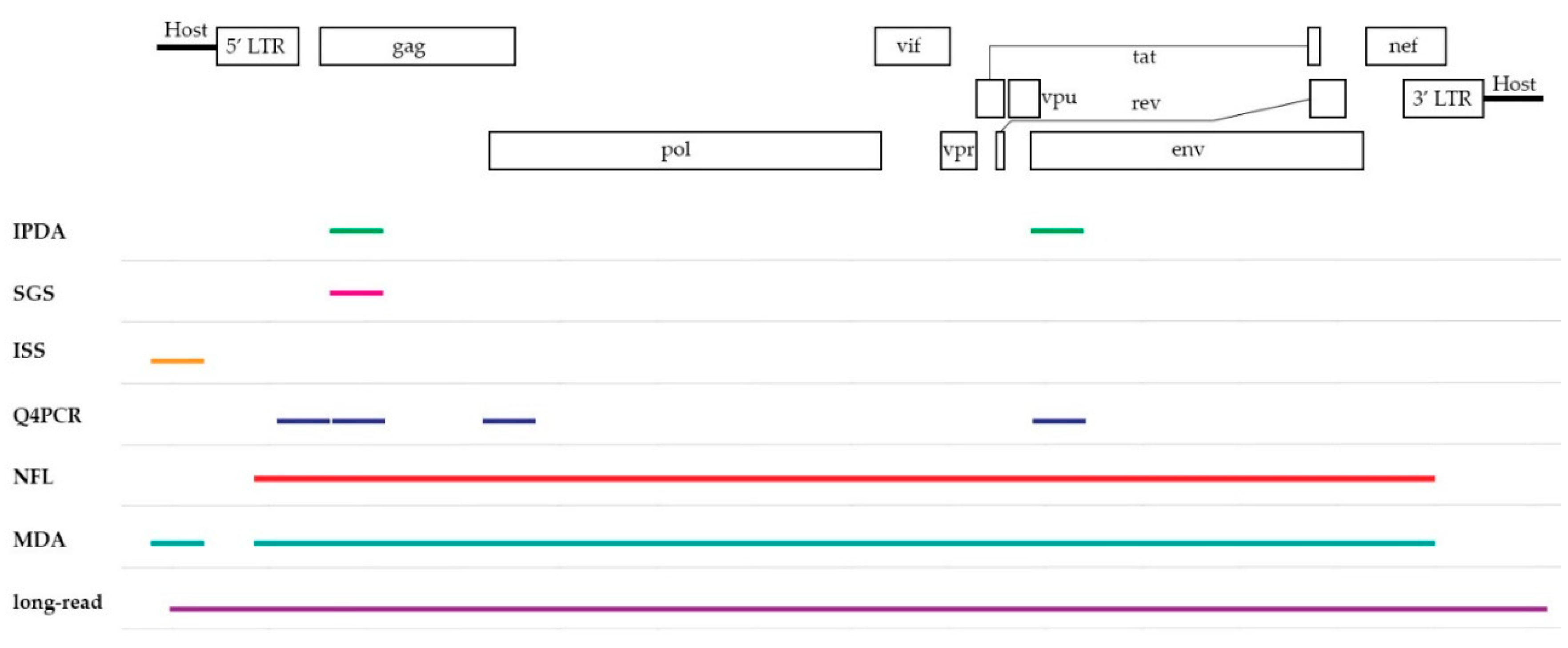 Viruses 12 00149 g001