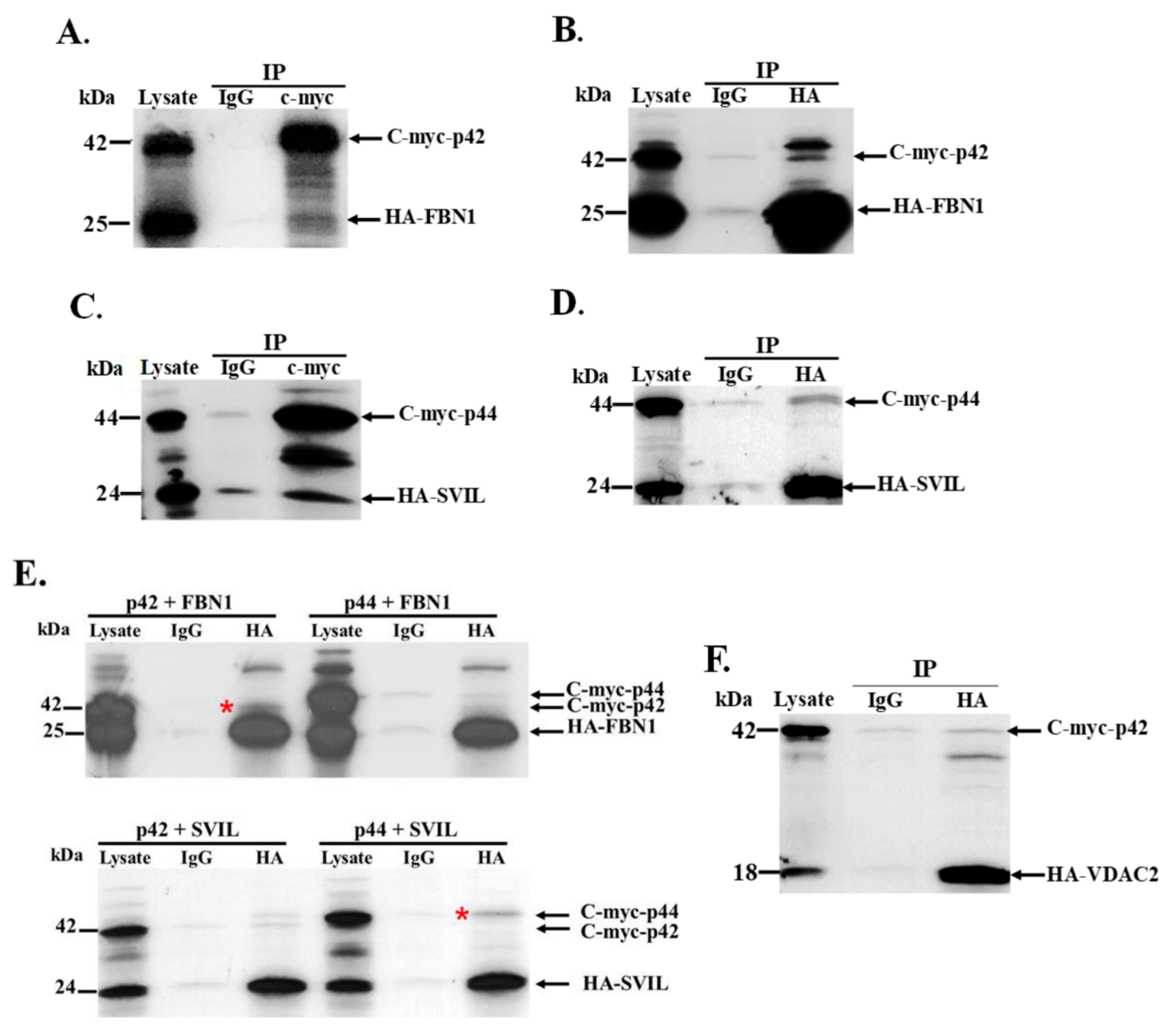 Viruses 12 00152 g005 Viruses 12 00152 g005