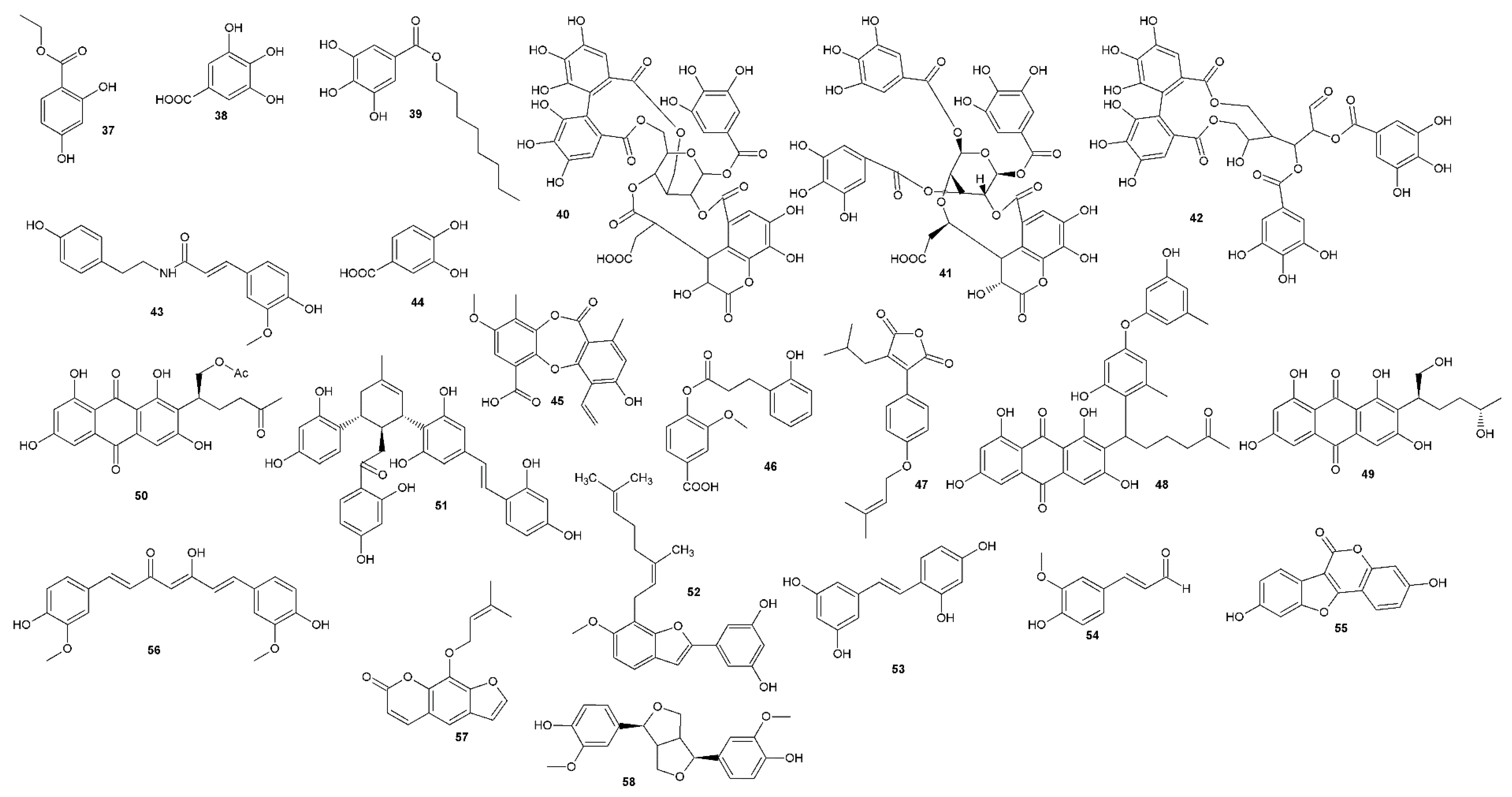 Viruses 12 00154 g002c