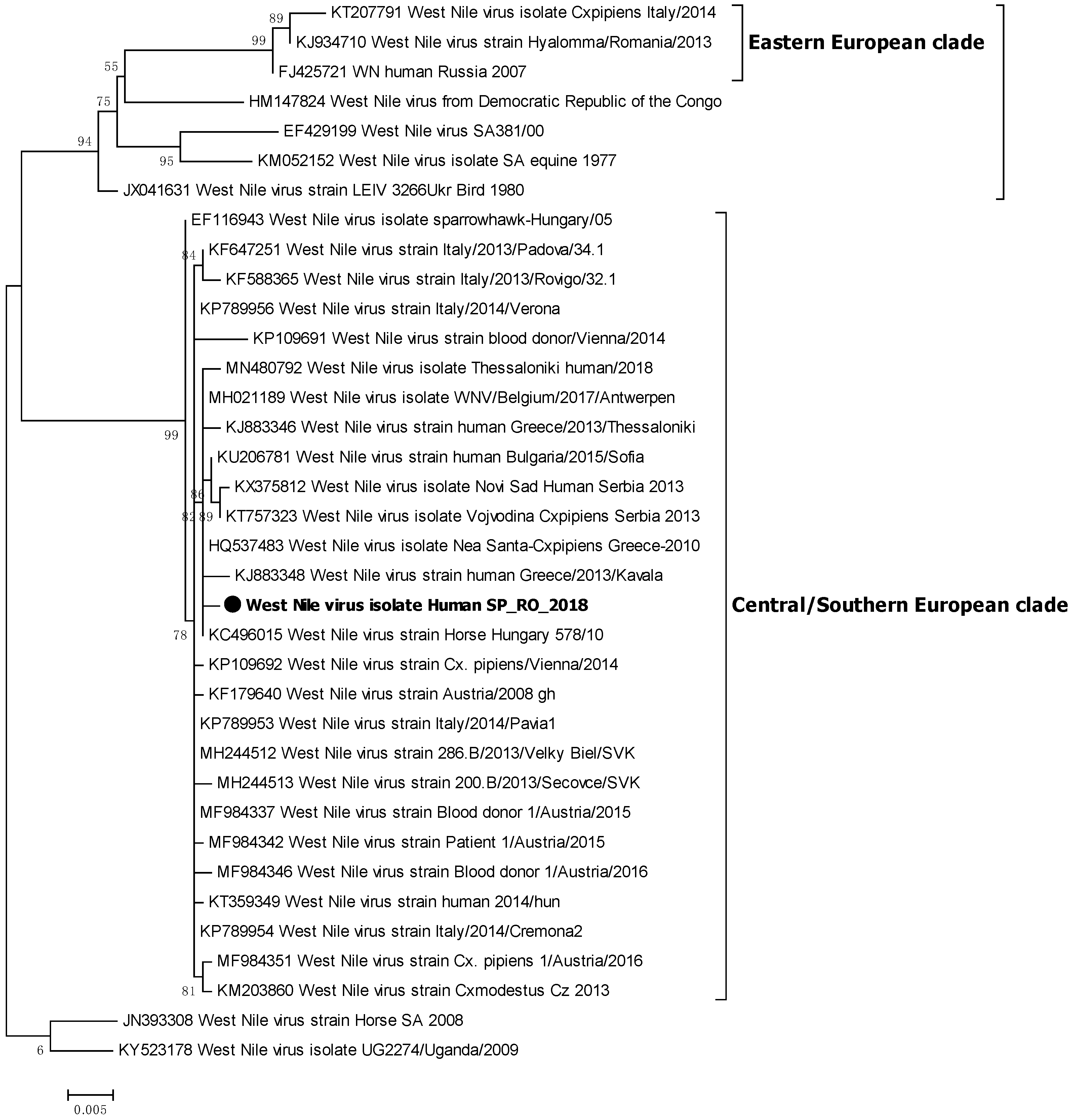 Viruses 12 00156 g001 Viruses 12 00156 g001