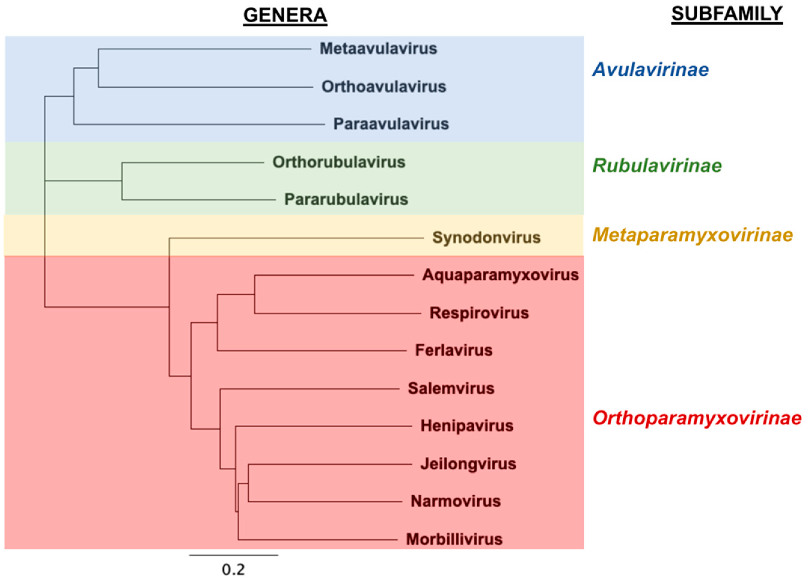 Viruses 12 00161 g001 Viruses 12 00161 g001
