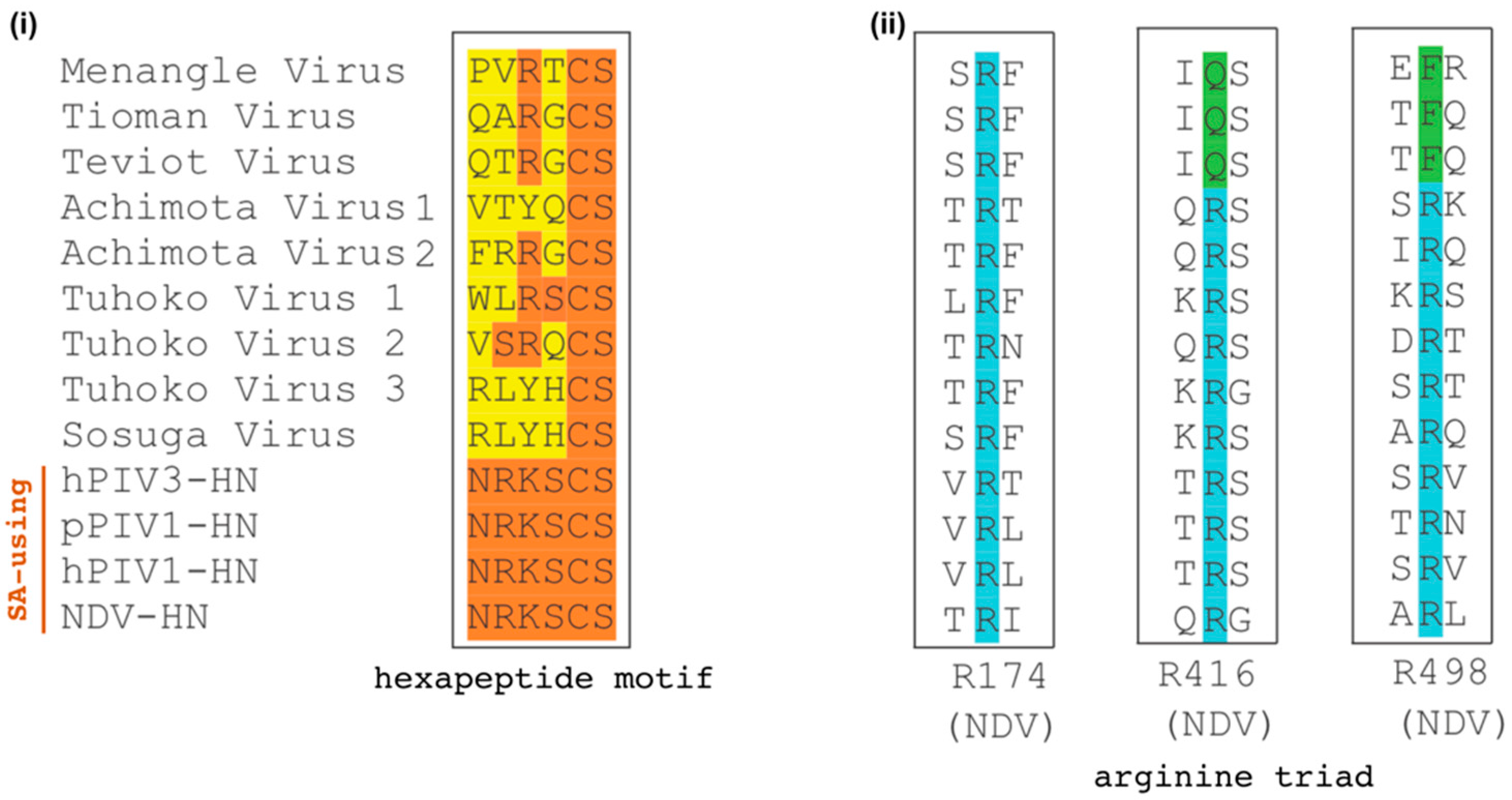 Viruses 12 00161 g002 Viruses 12 00161 g002