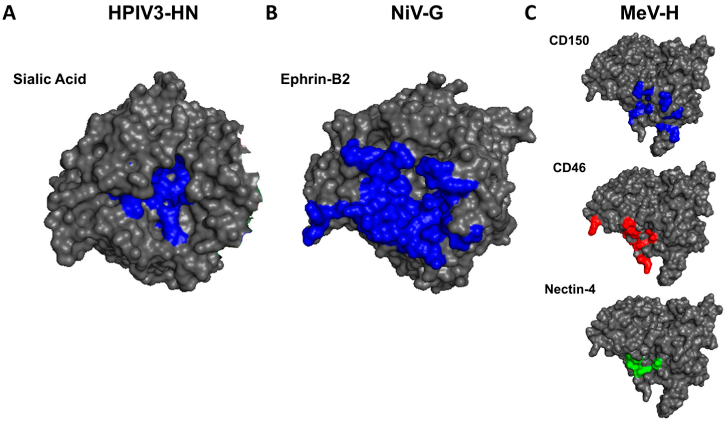 Viruses 12 00161 g003 Viruses 12 00161 g003