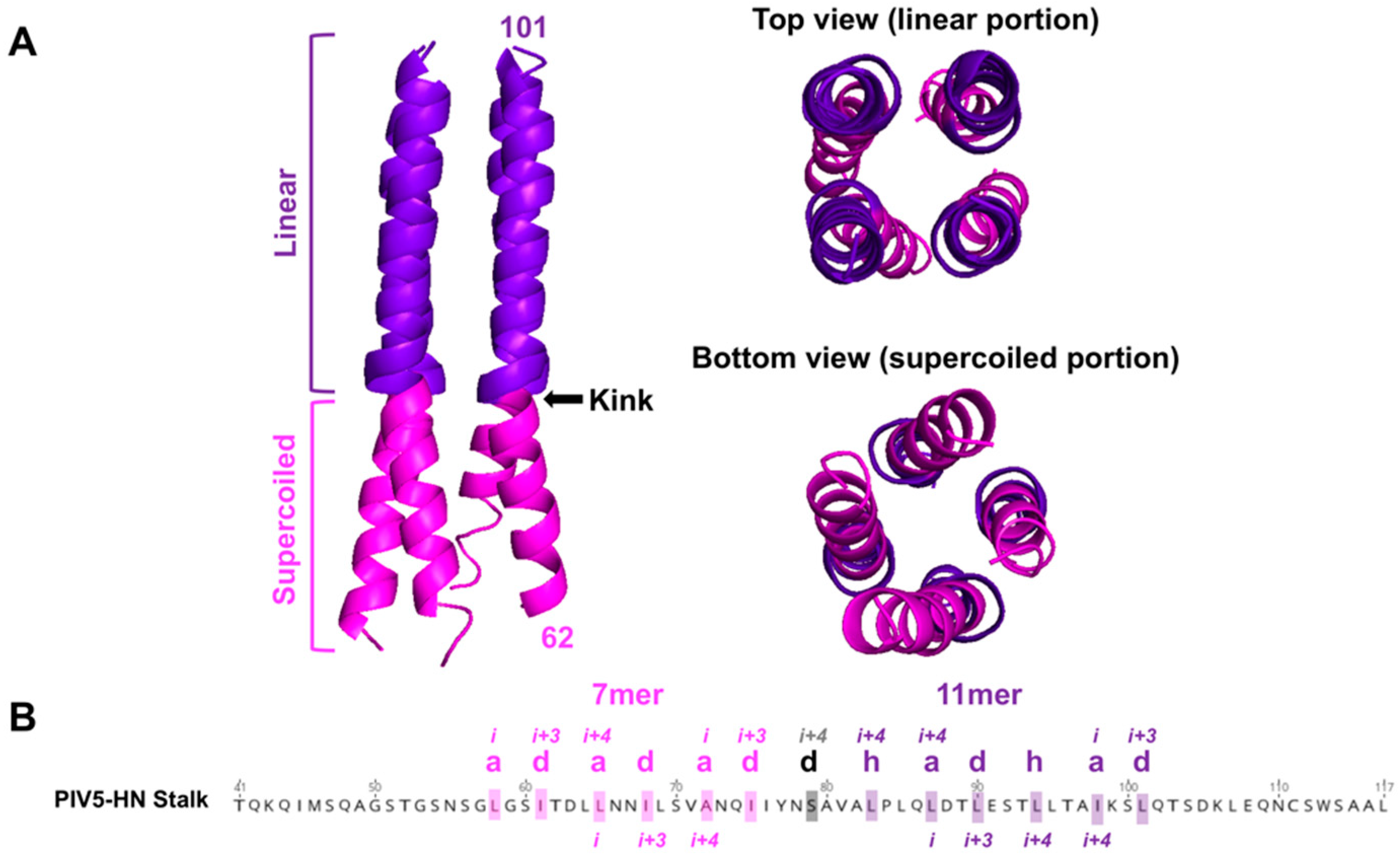 Viruses 12 00161 g005 Viruses 12 00161 g005