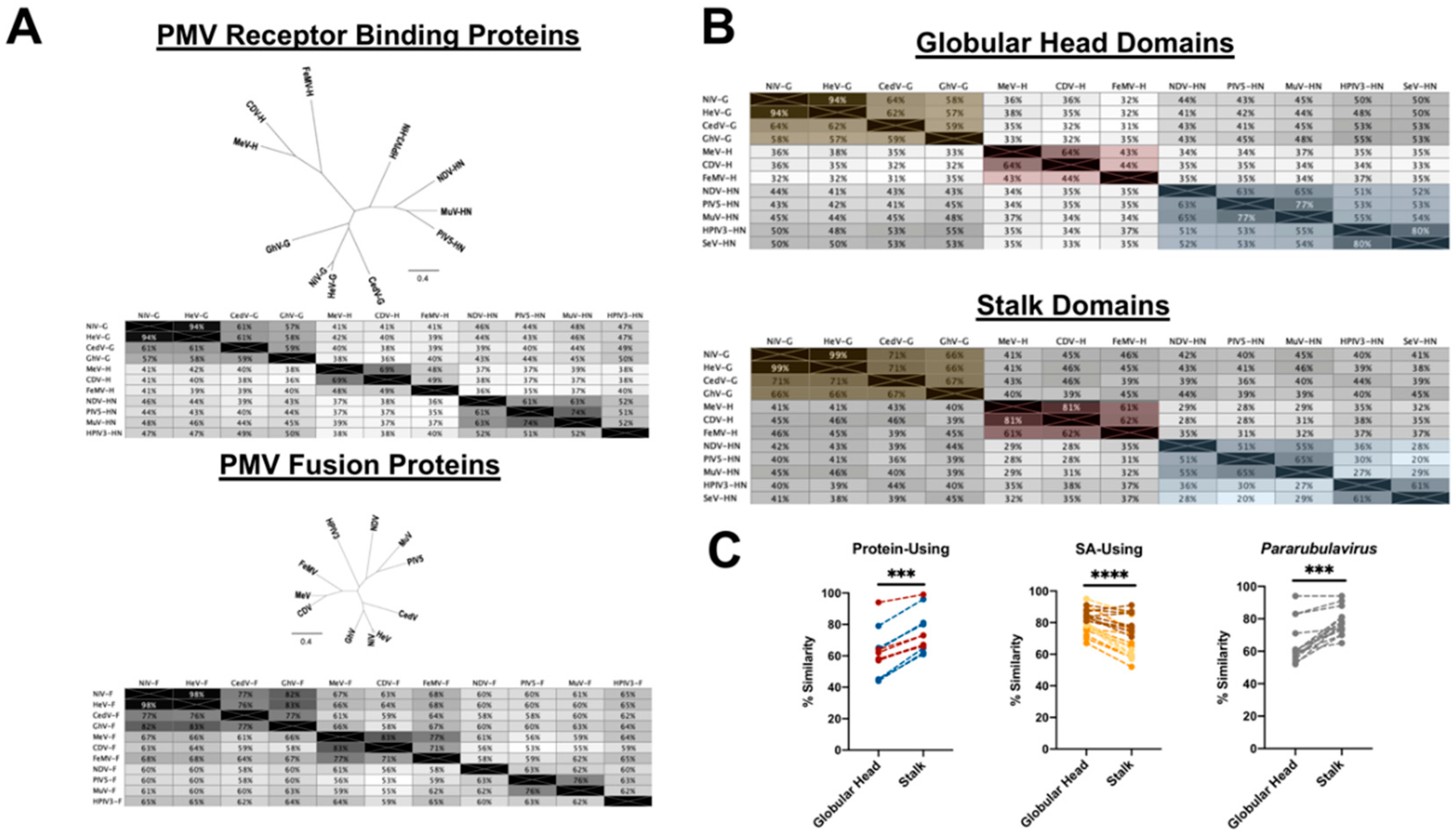 Viruses 12 00161 g008 Viruses 12 00161 g008