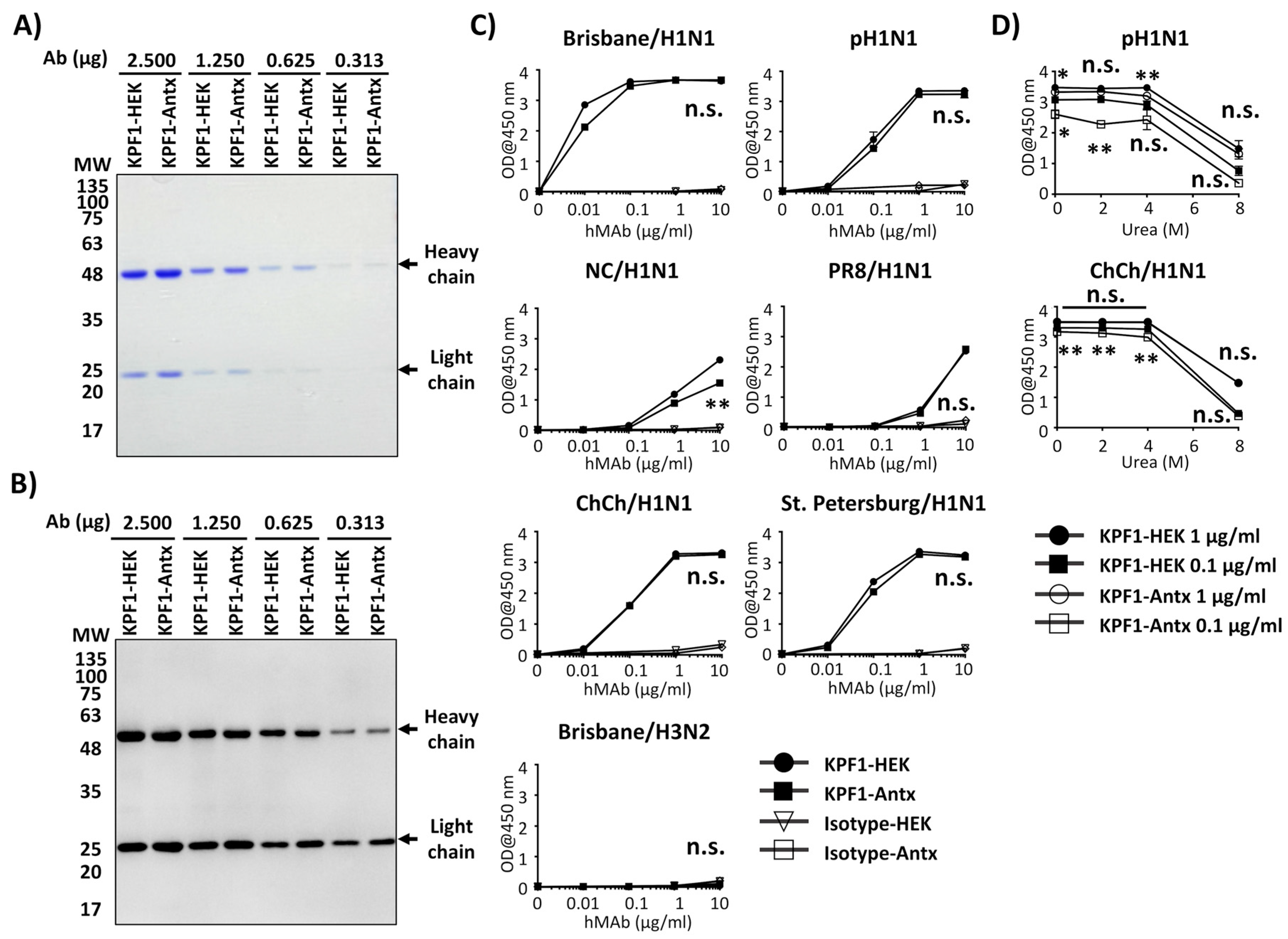 Viruses 12 00167 g002
