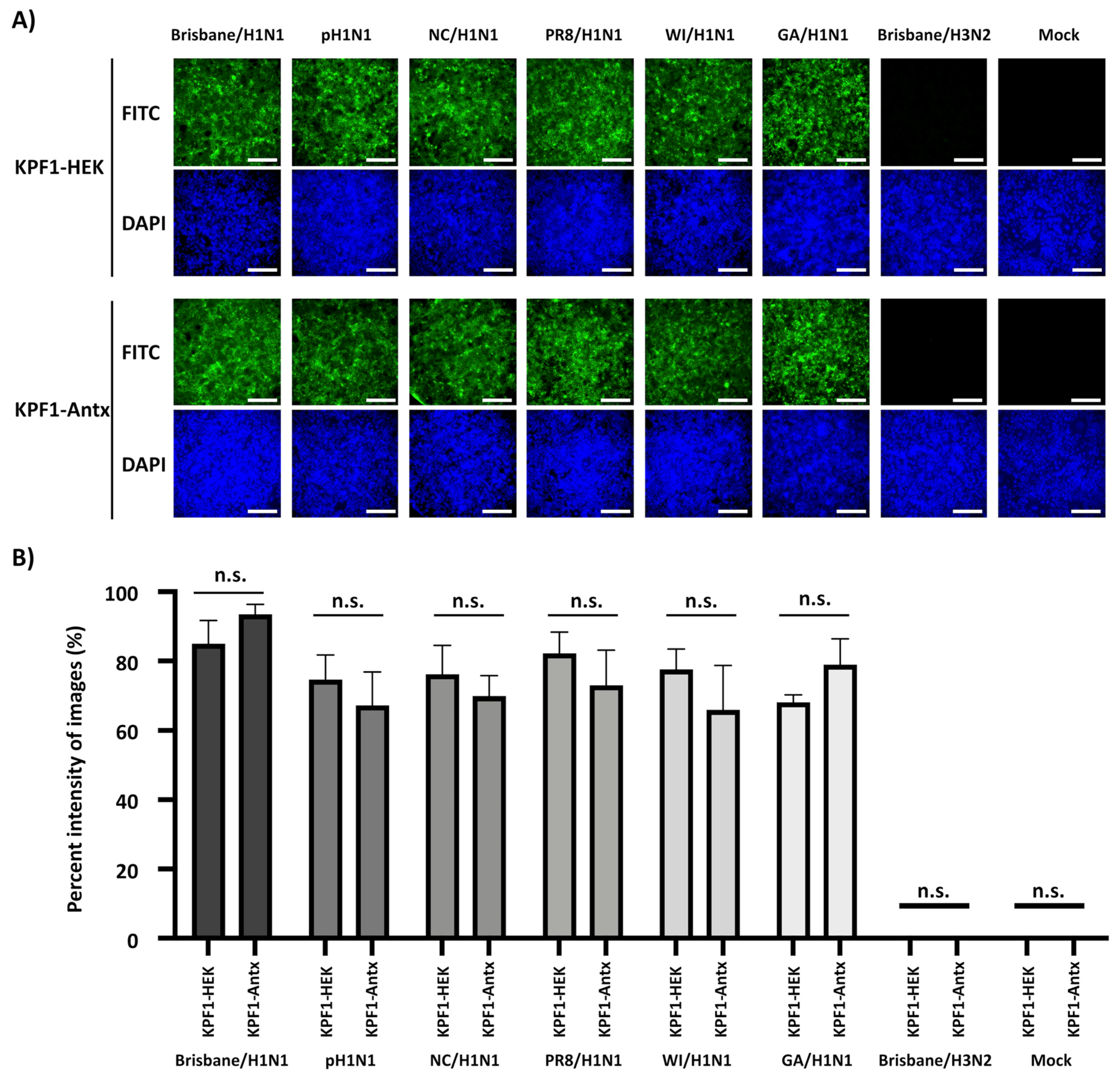 Viruses 12 00167 g003
