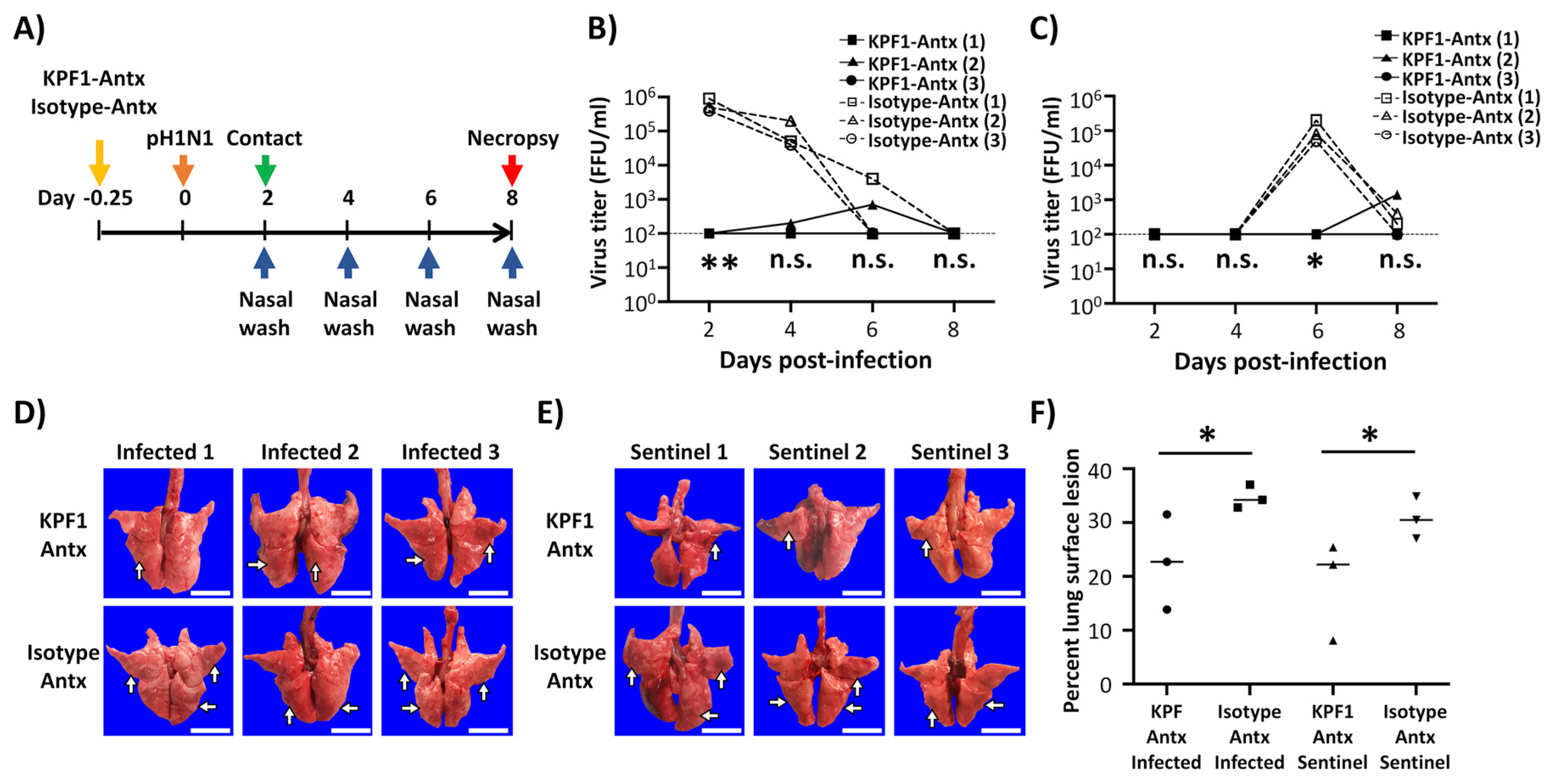 Viruses 12 00167 g004