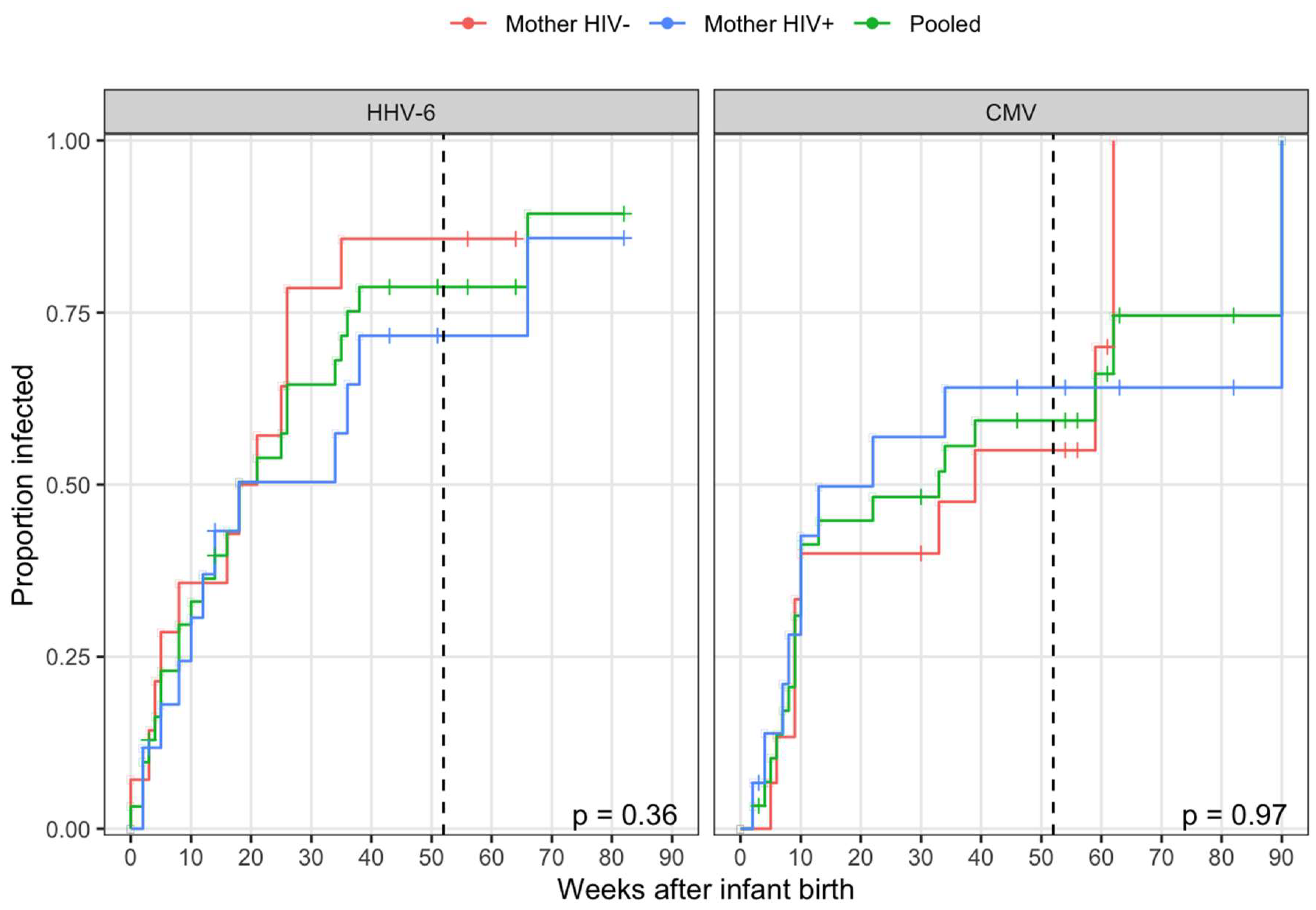 Viruses 12 00171 g001