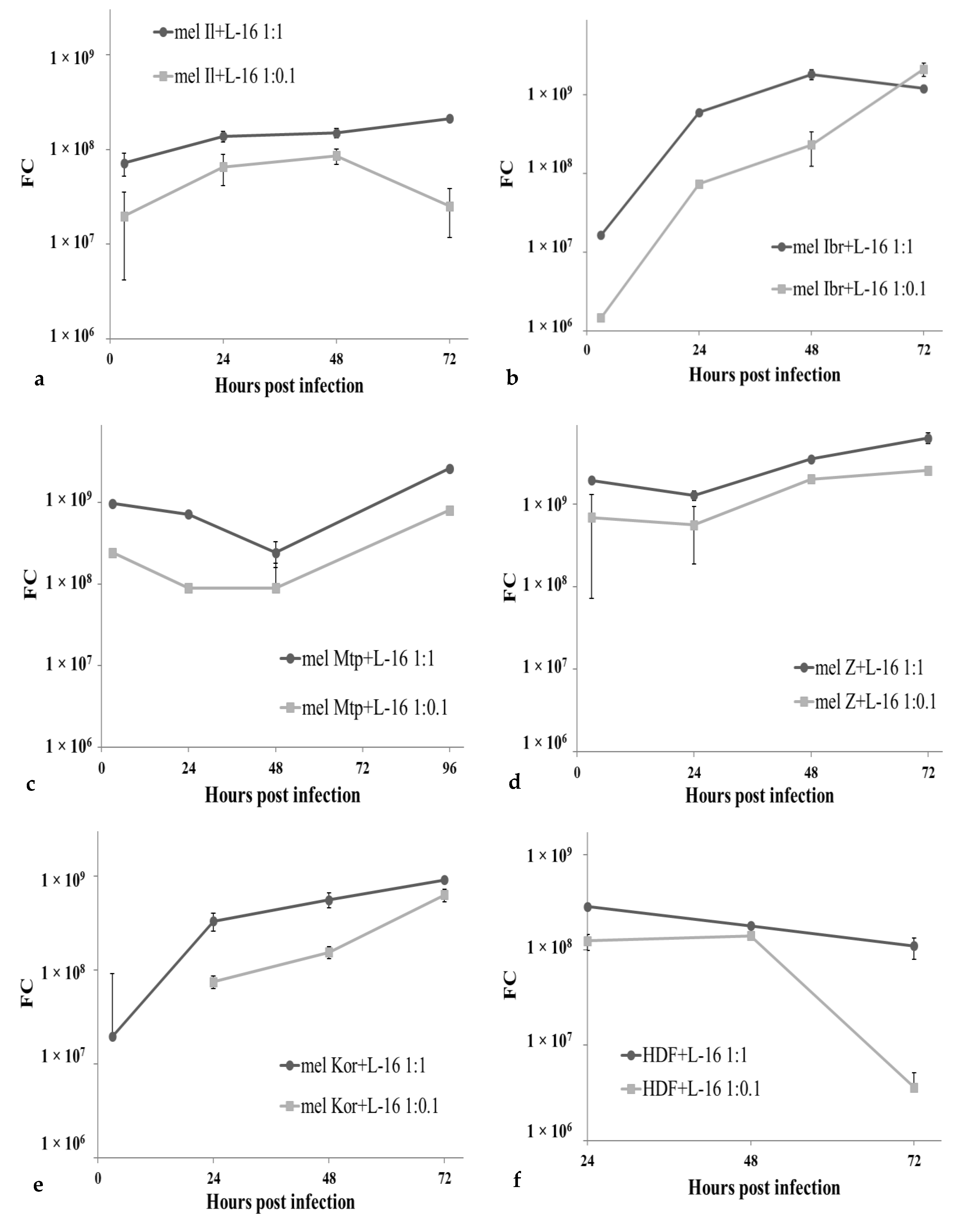 Viruses 12 00173 g005 Viruses 12 00173 g005
