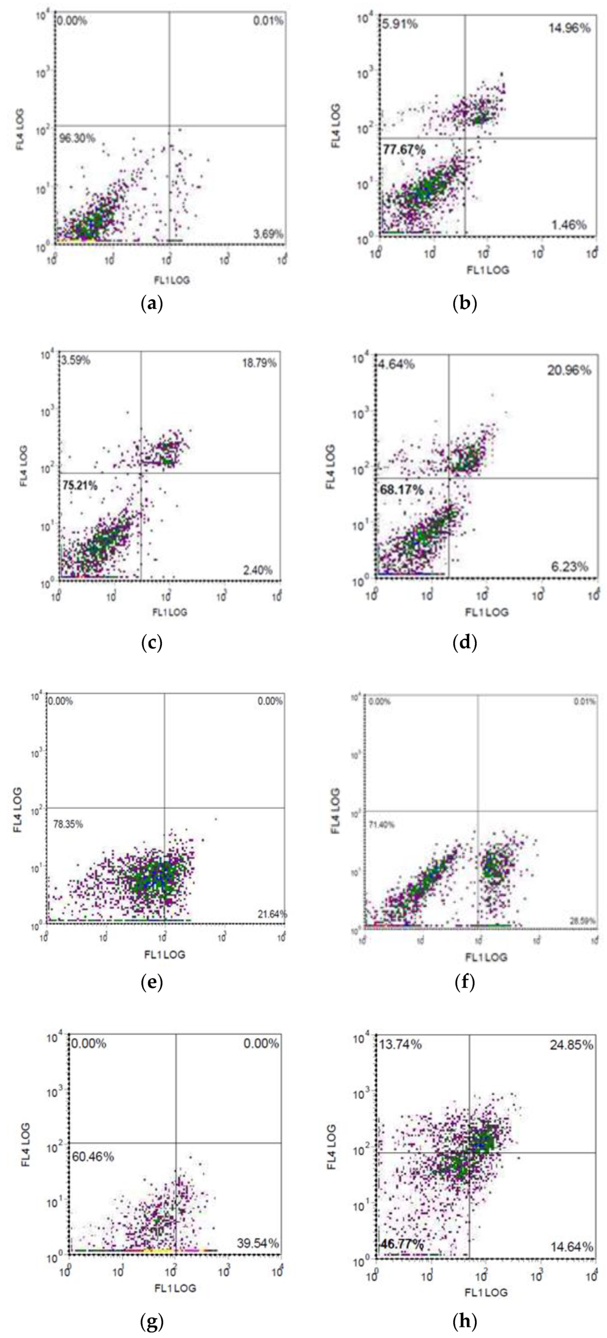 Viruses 12 00173 g011 Viruses 12 00173 g011