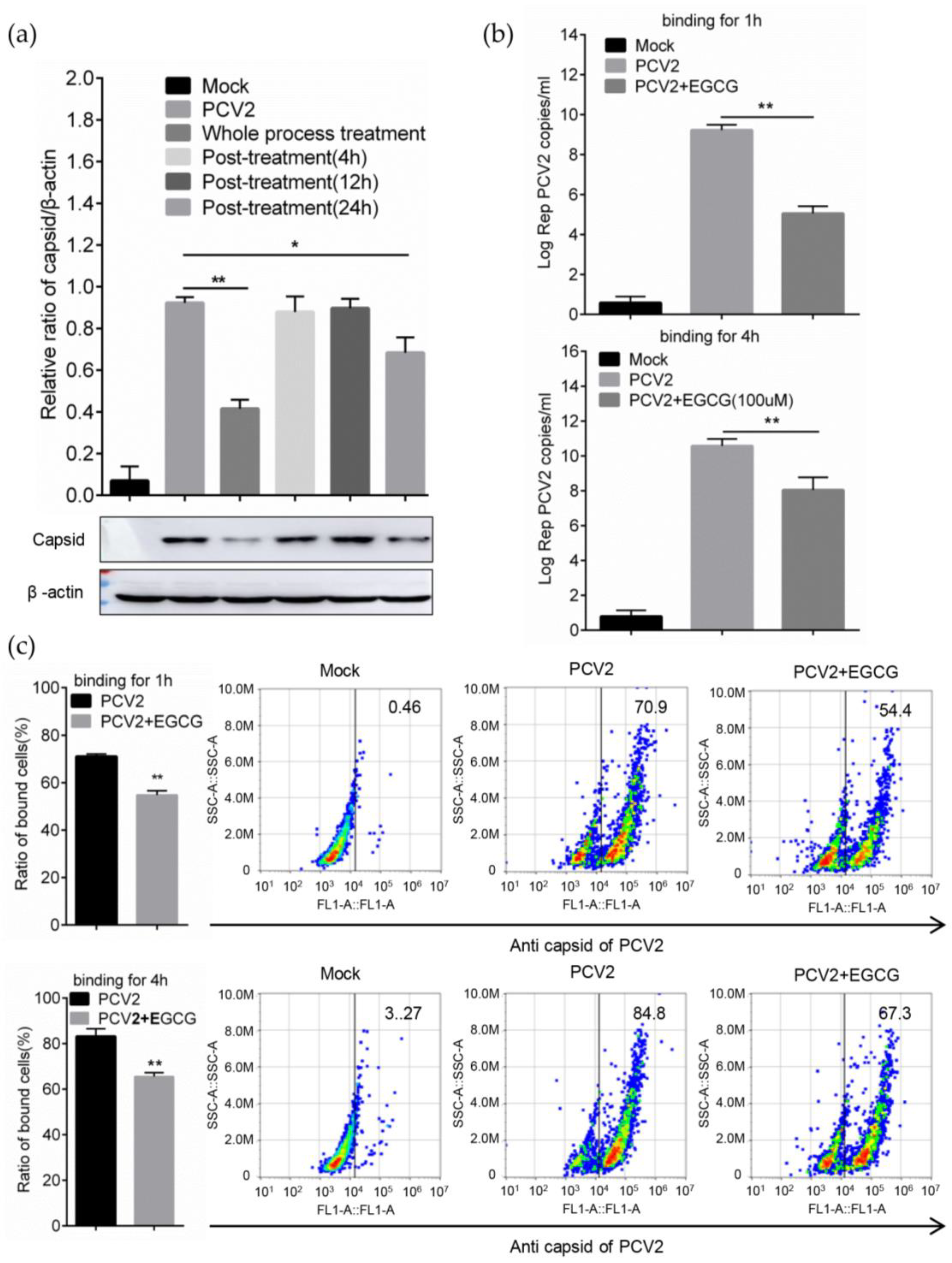 Viruses 12 00176 g003 Viruses 12 00176 g003