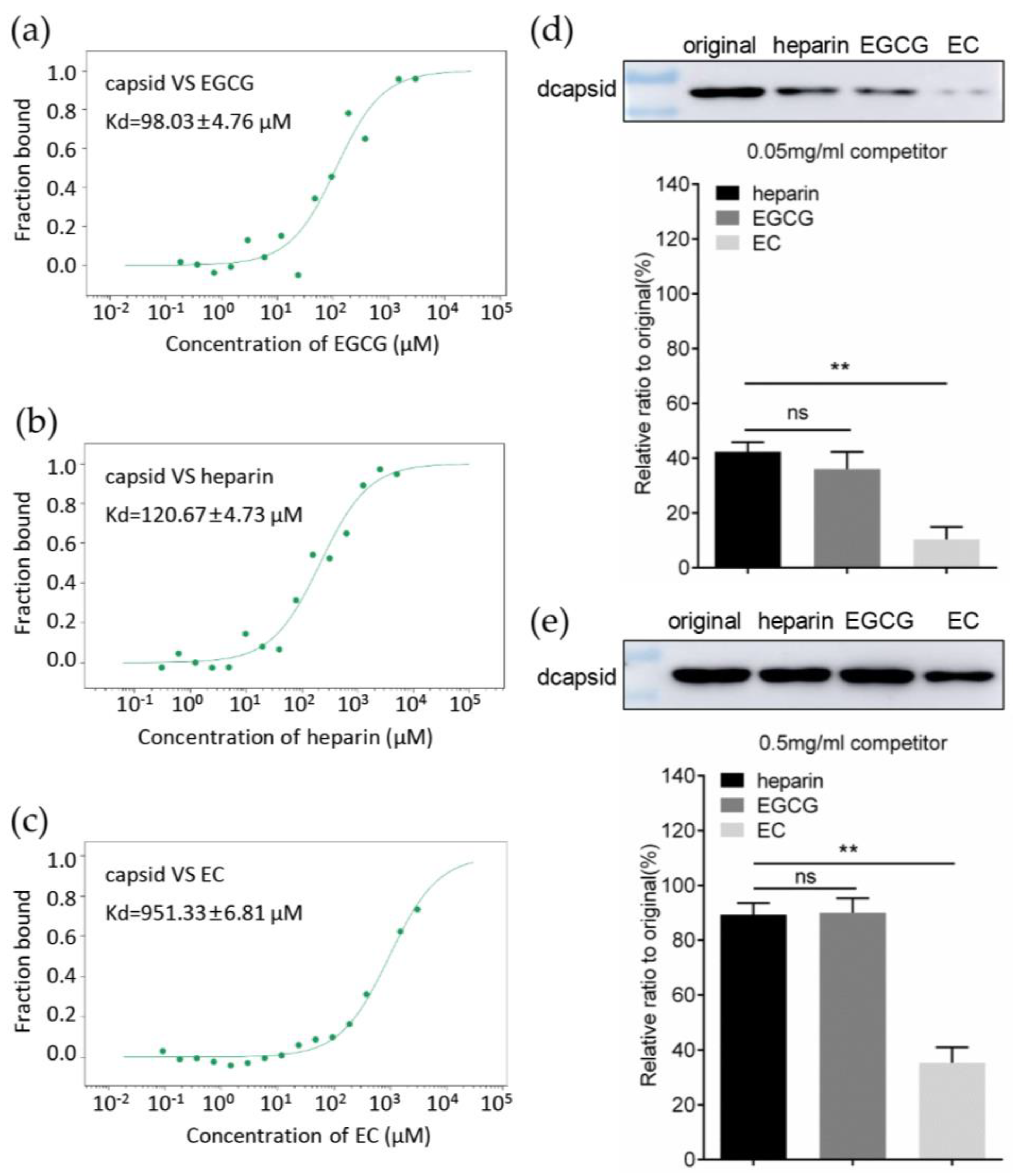 Viruses 12 00176 g004 Viruses 12 00176 g004