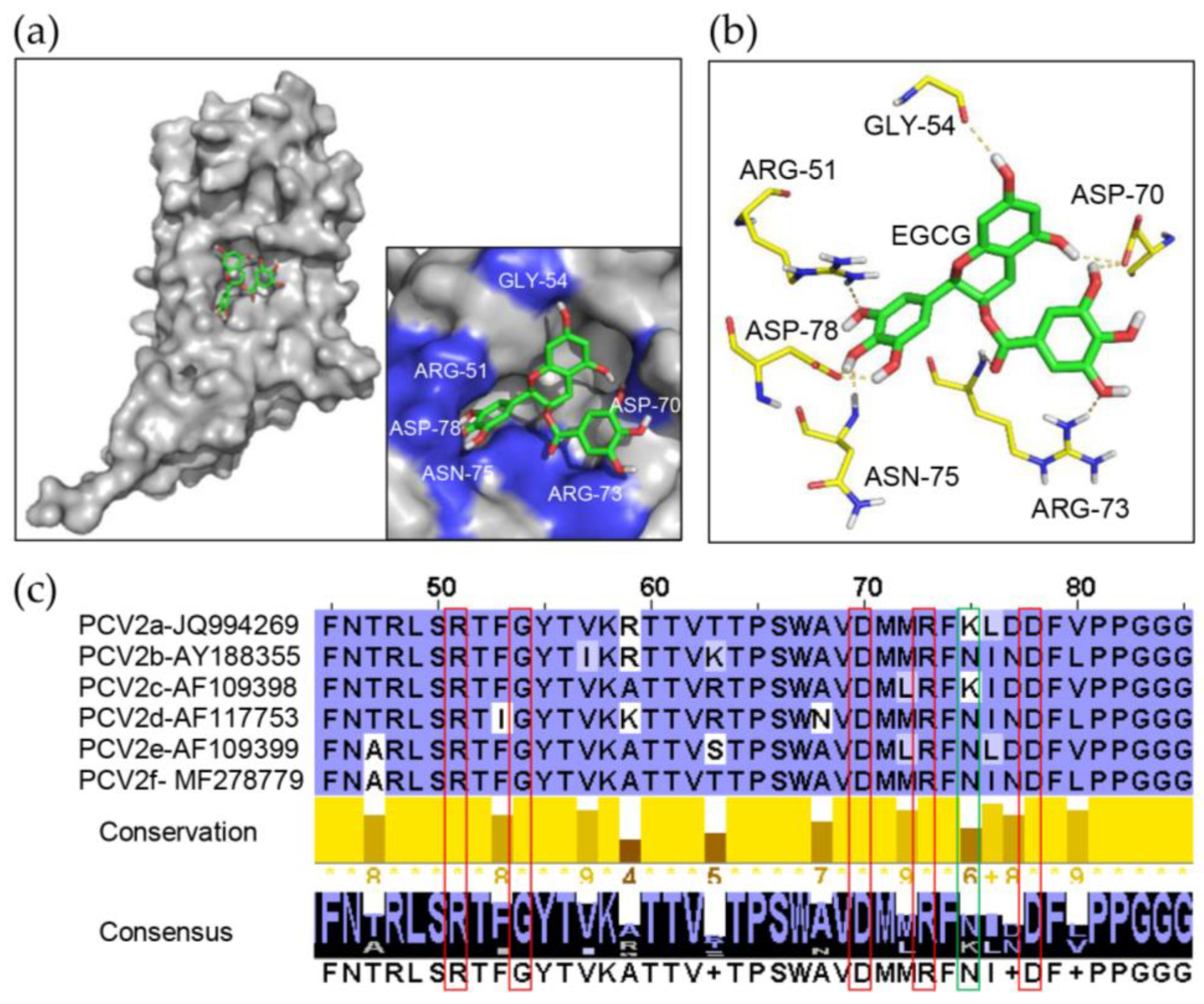 Viruses 12 00176 g005 Viruses 12 00176 g005