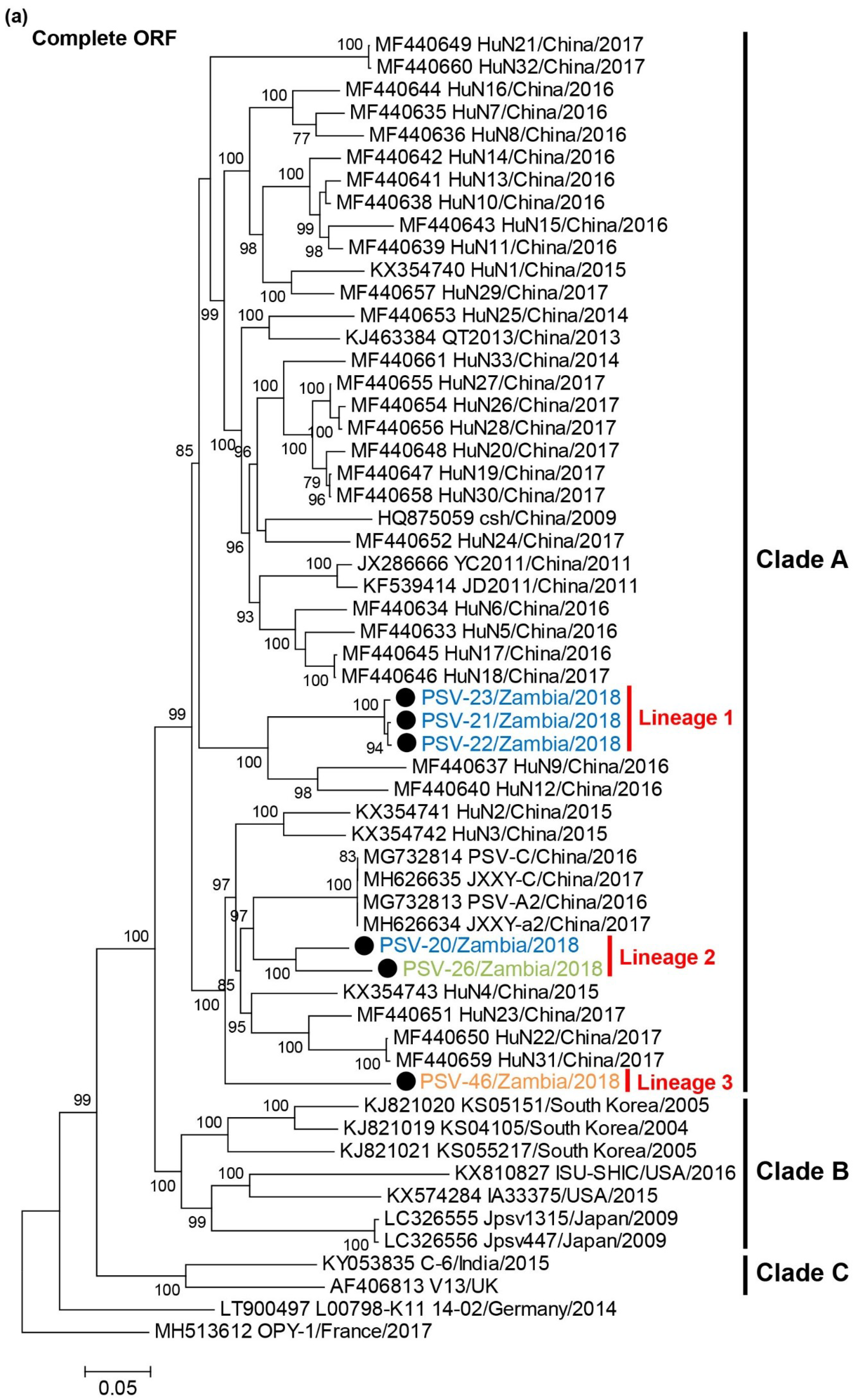Viruses 12 00180 g002a