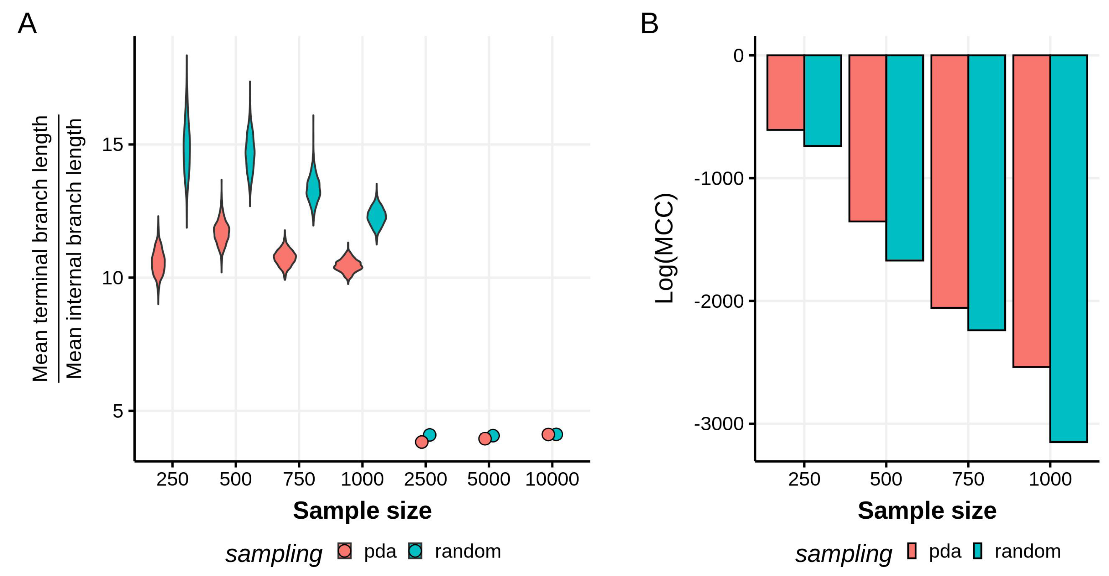 Viruses 12 00182 g001