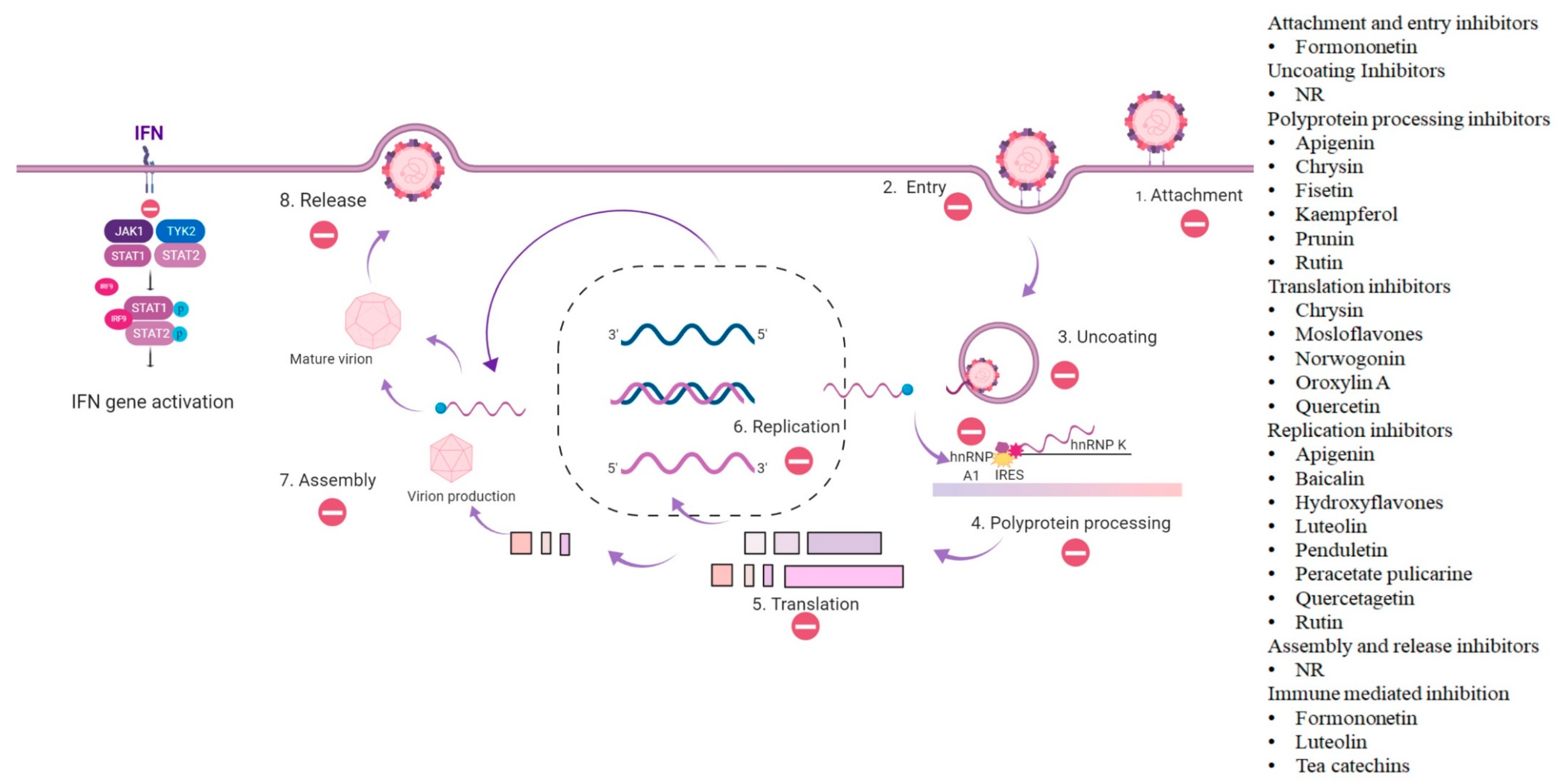 Viruses 12 00184 g001 Viruses 12 00184 g001