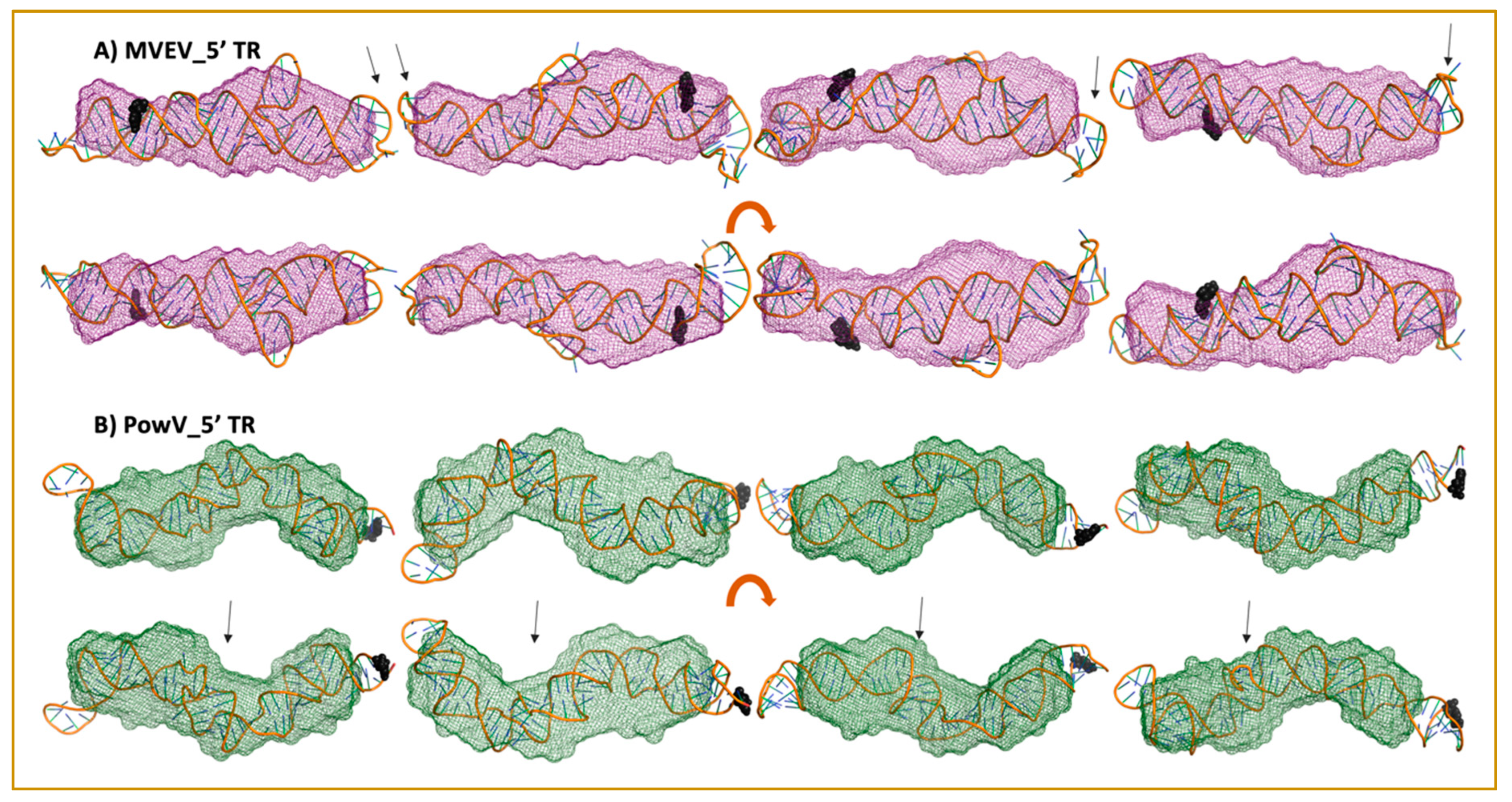 Viruses 12 00190 g006