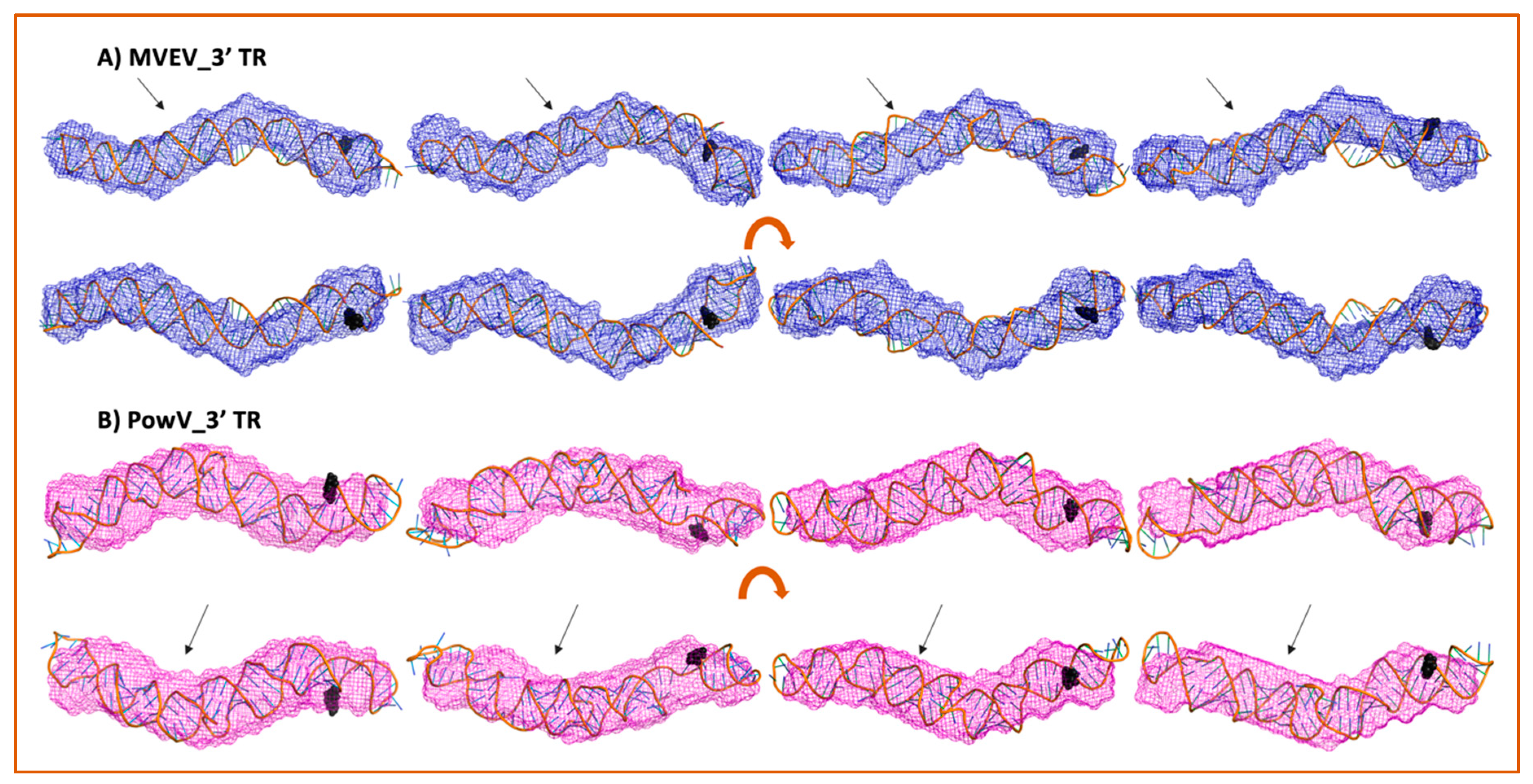 Viruses 12 00190 g007