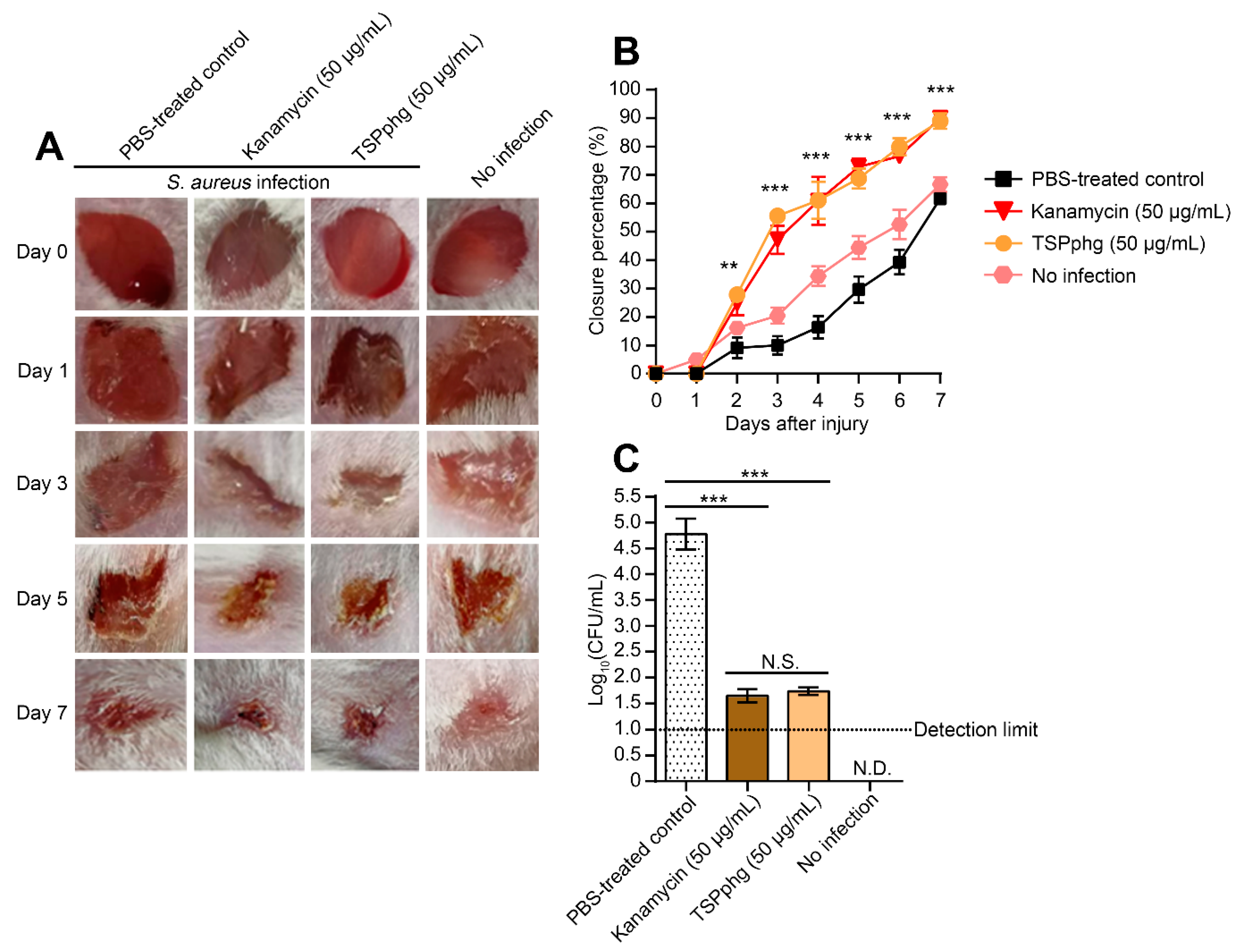 Viruses 12 00192 g003