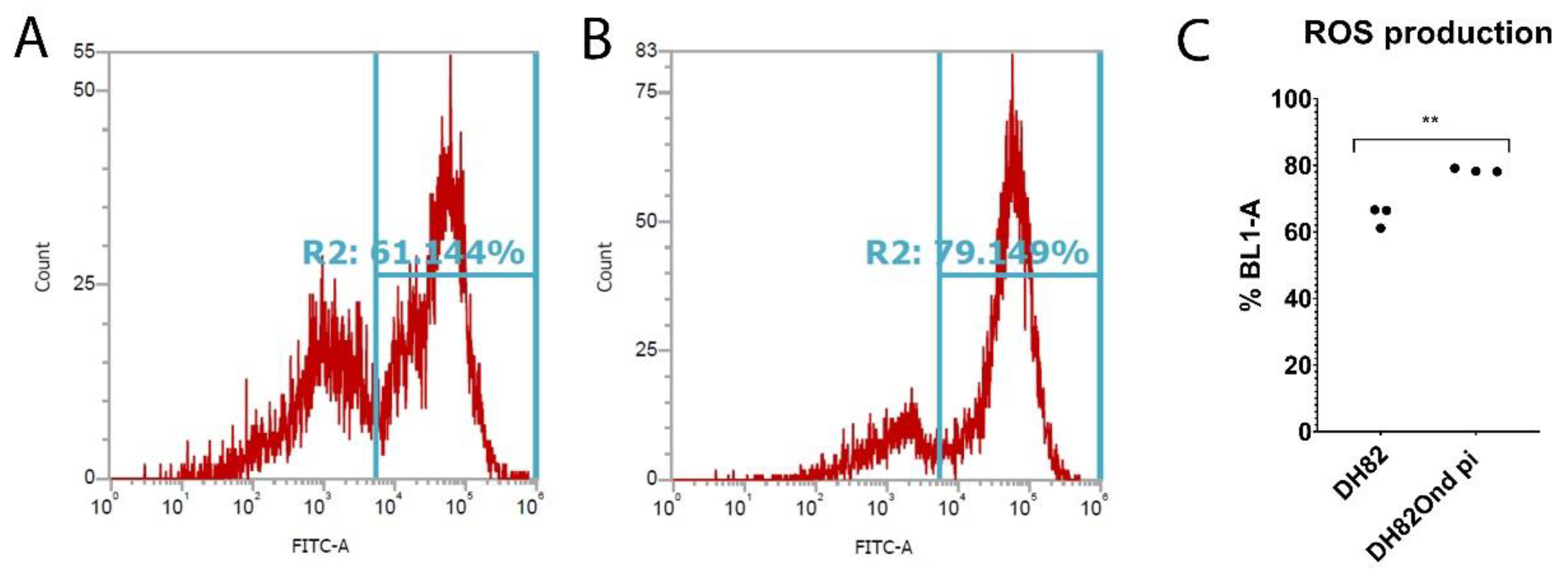 Viruses 12 00200 g002