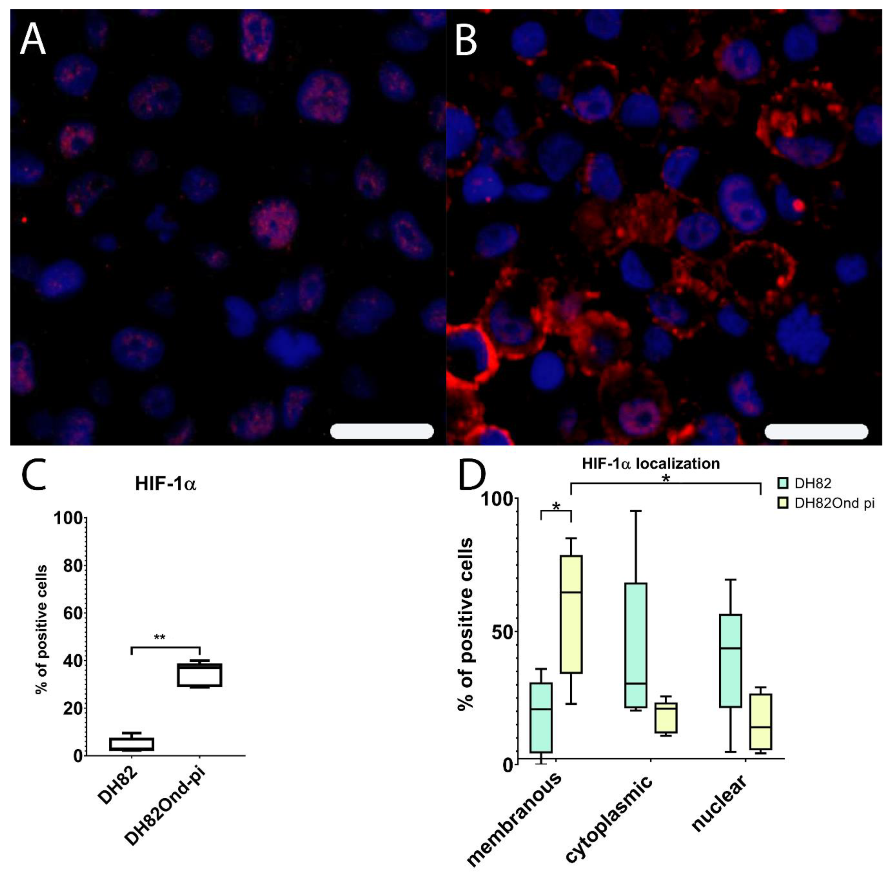Viruses 12 00200 g003