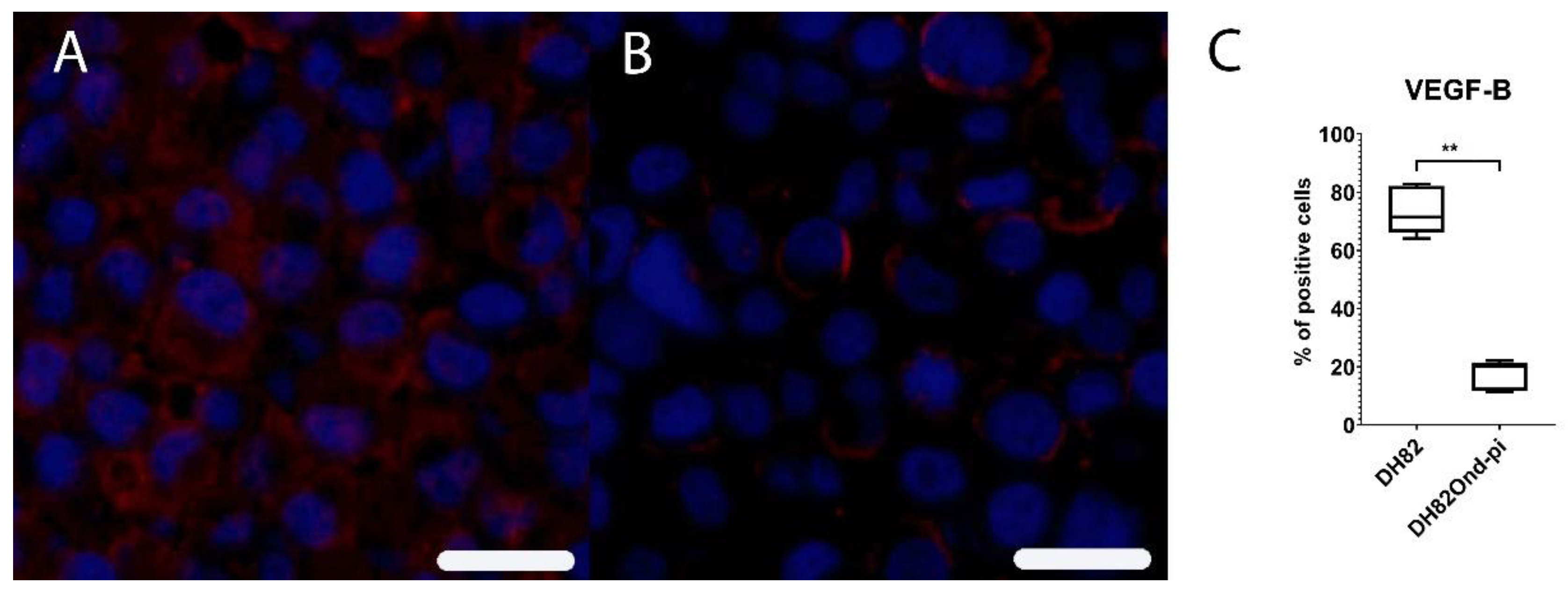 Viruses 12 00200 g007