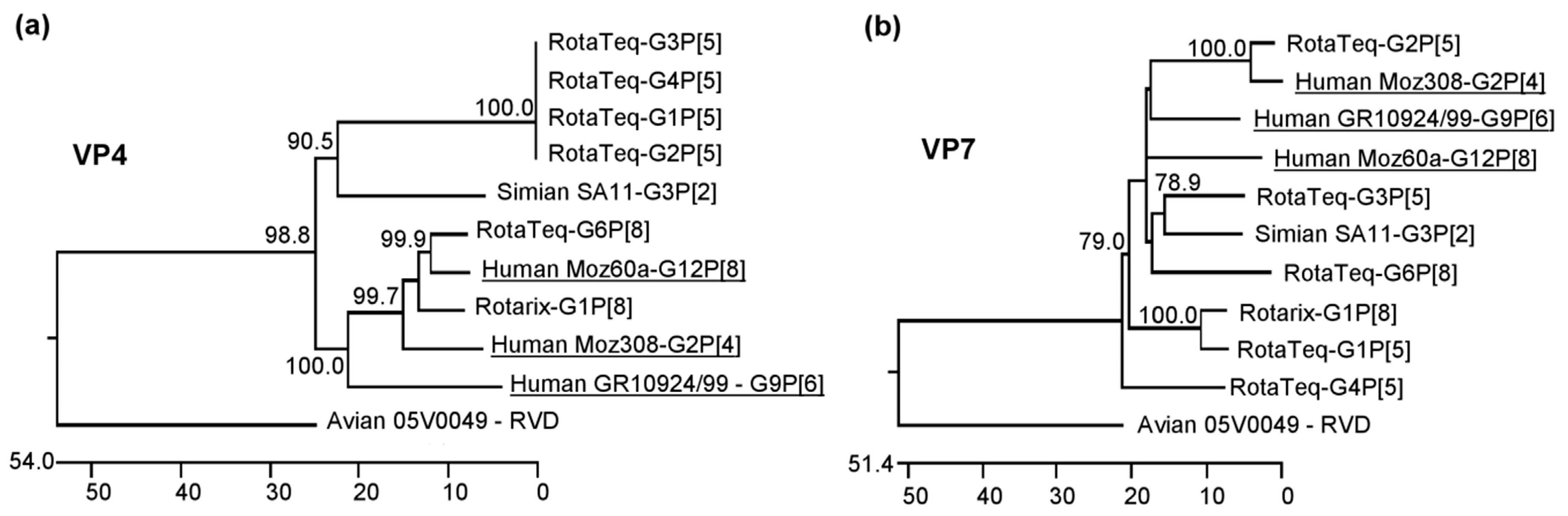 Viruses 12 00201 g001 Viruses 12 00201 g001