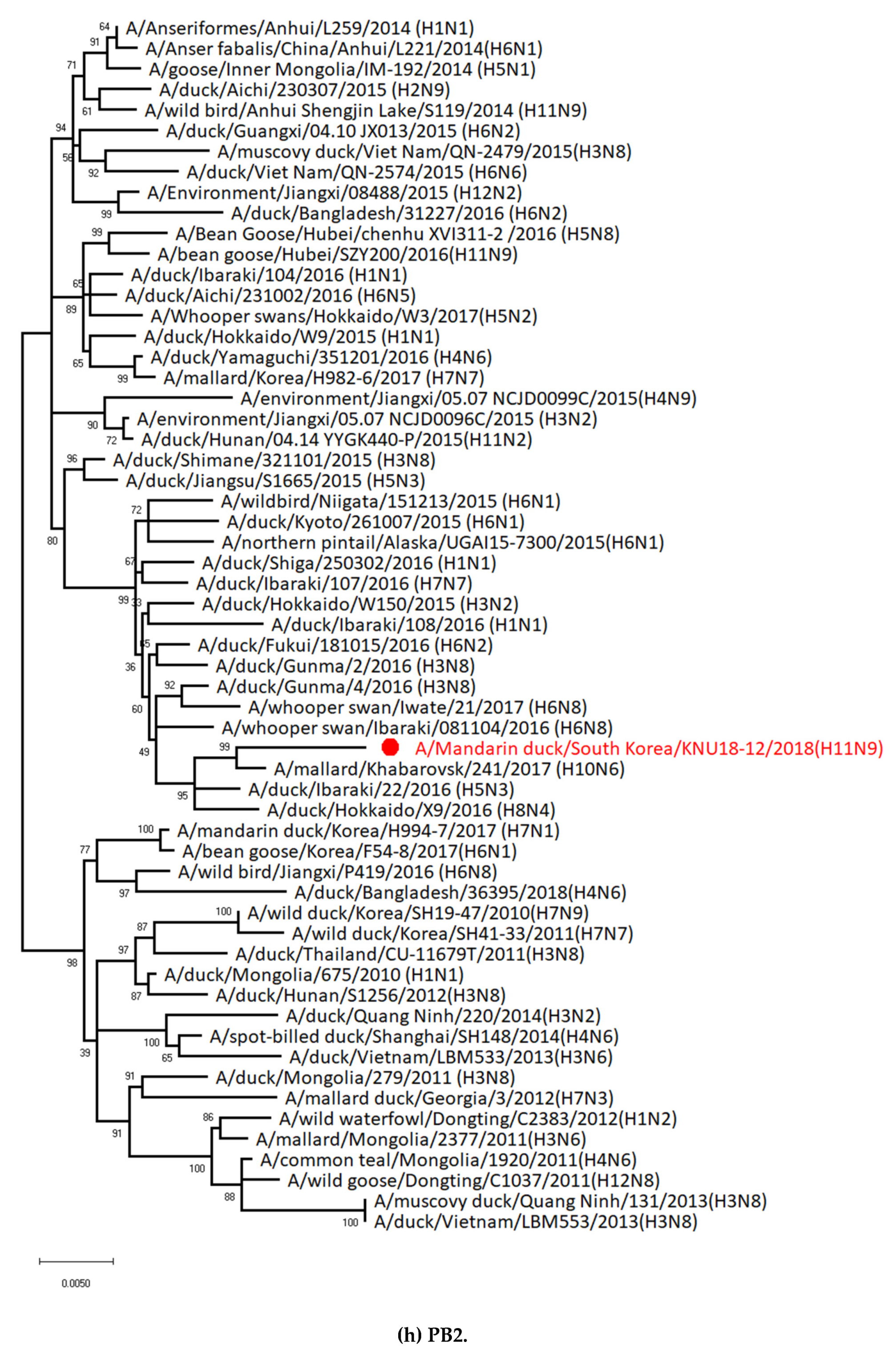 Viruses 12 00203 g002h Viruses 12 00203 g002h