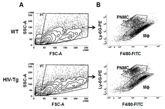 Viruses 12 00204 g0a3