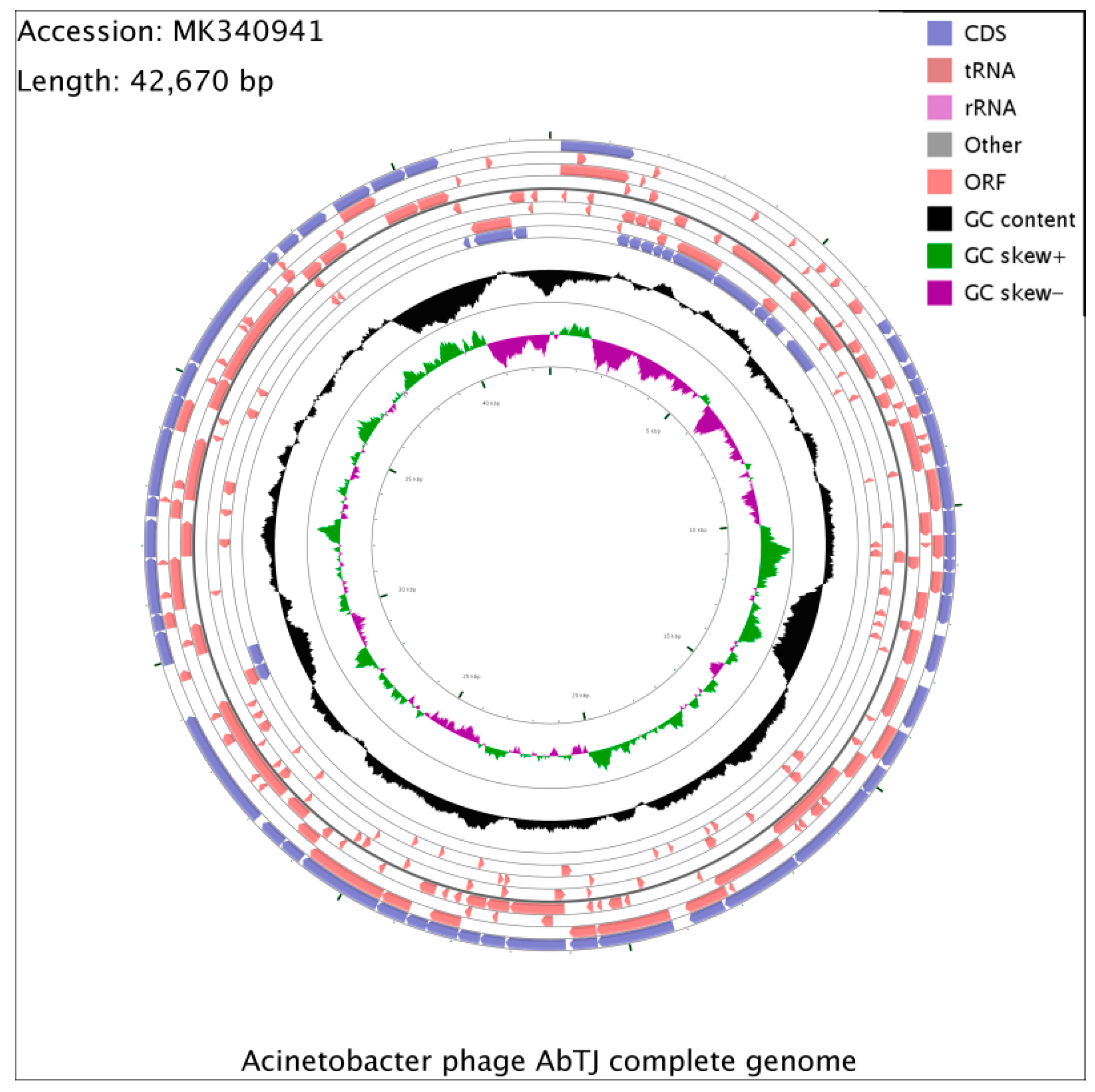 Viruses 12 00205 g004