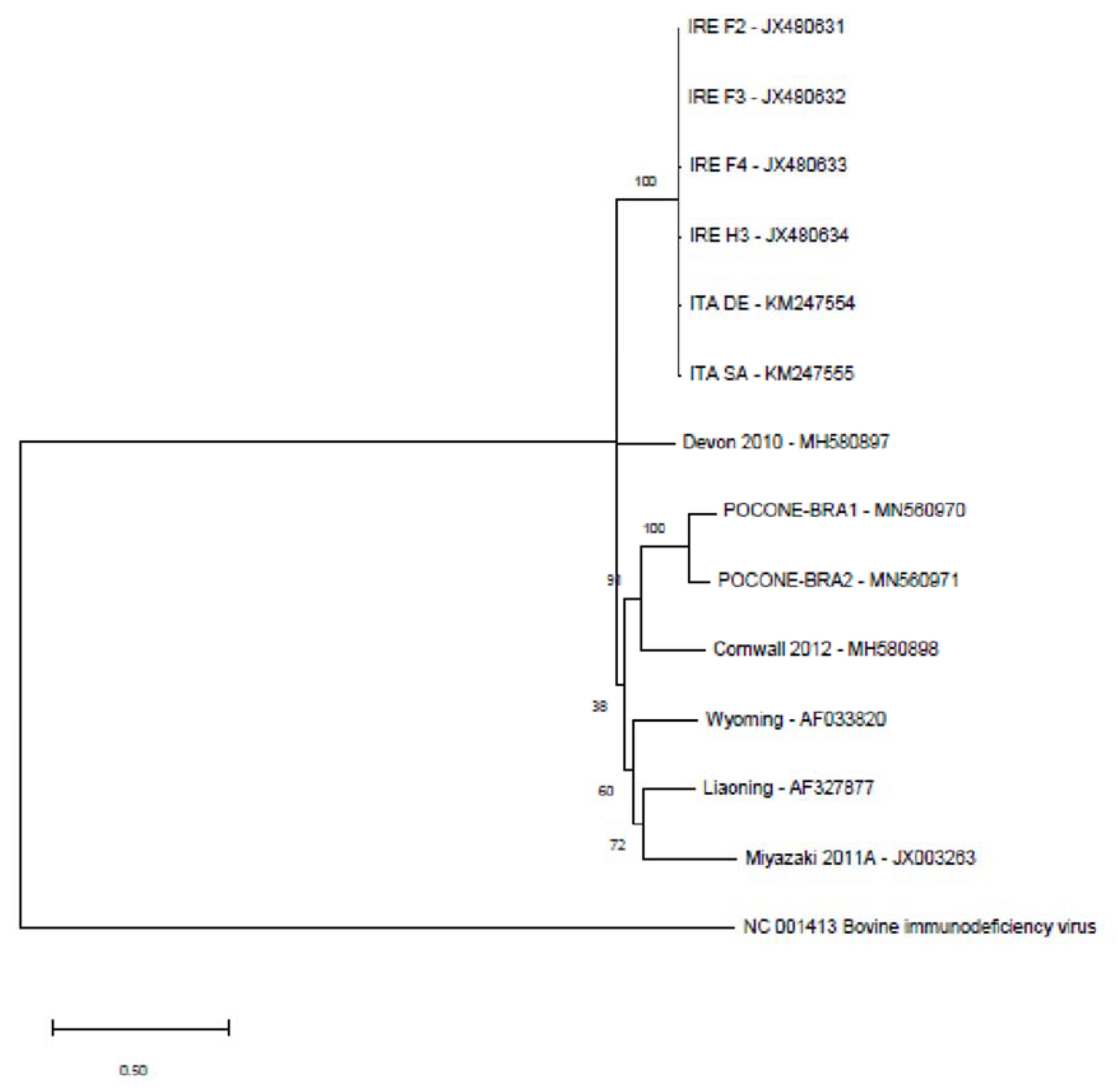 Viruses 12 00207 g001