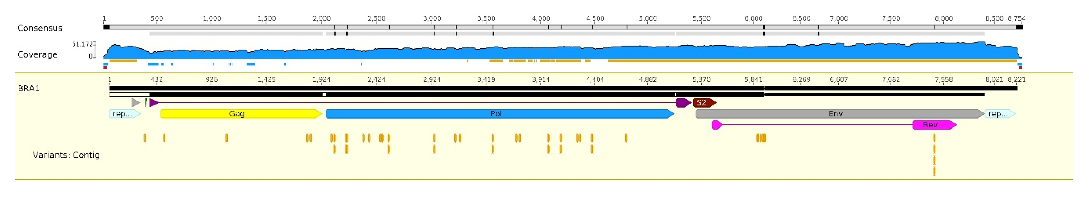 Viruses 12 00207 g002