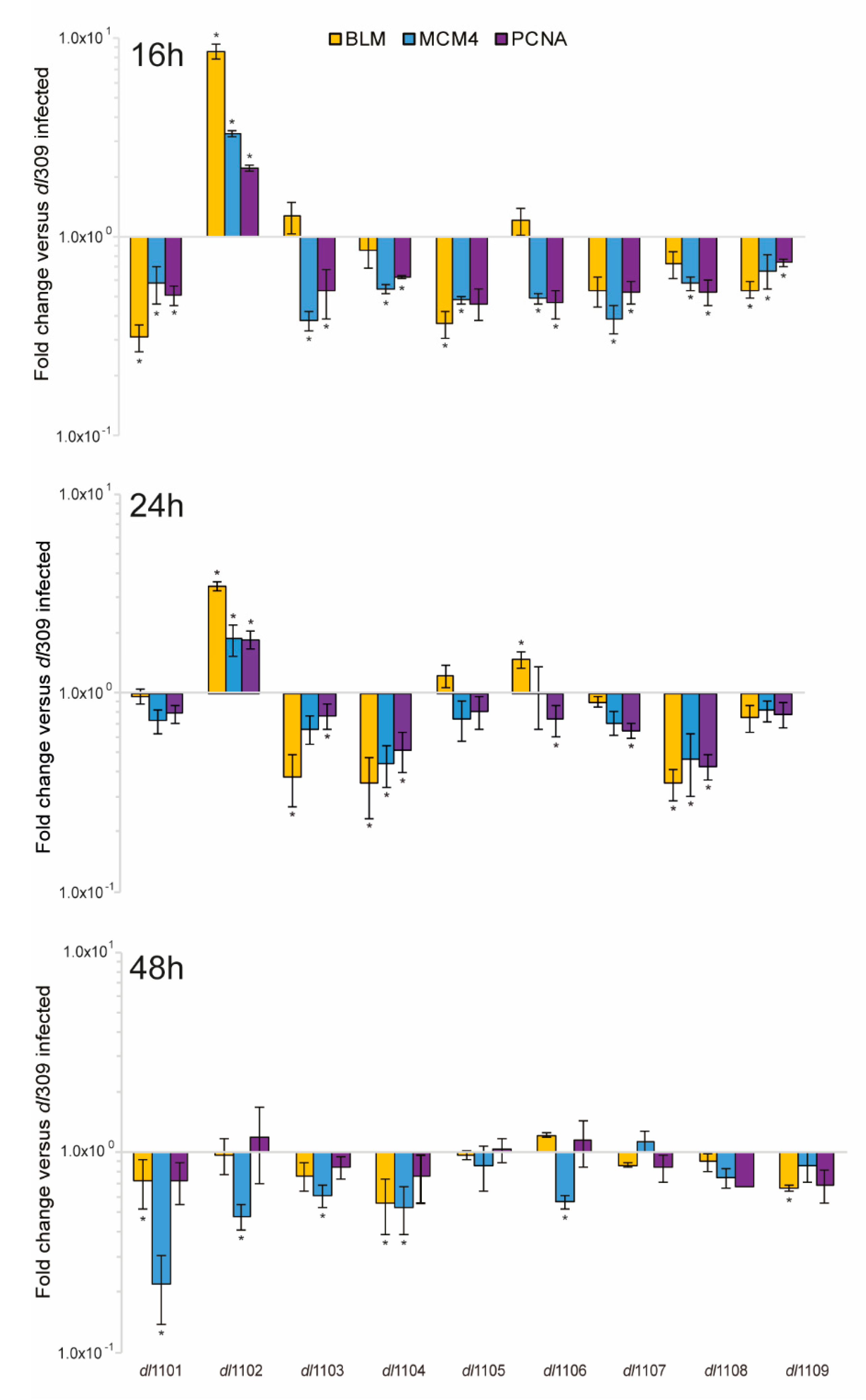 Viruses 12 00213 g008