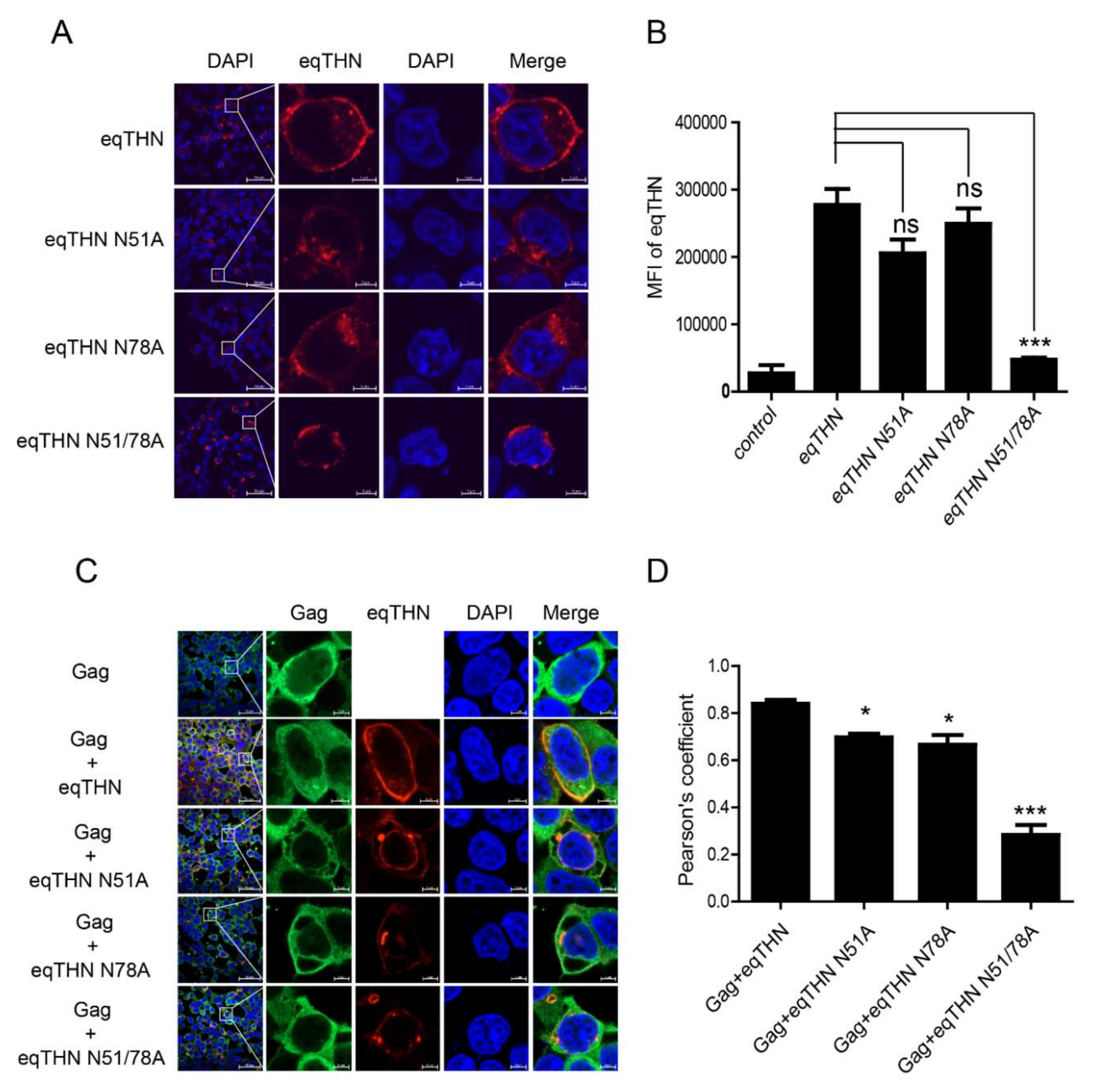 Viruses 12 00220 g003