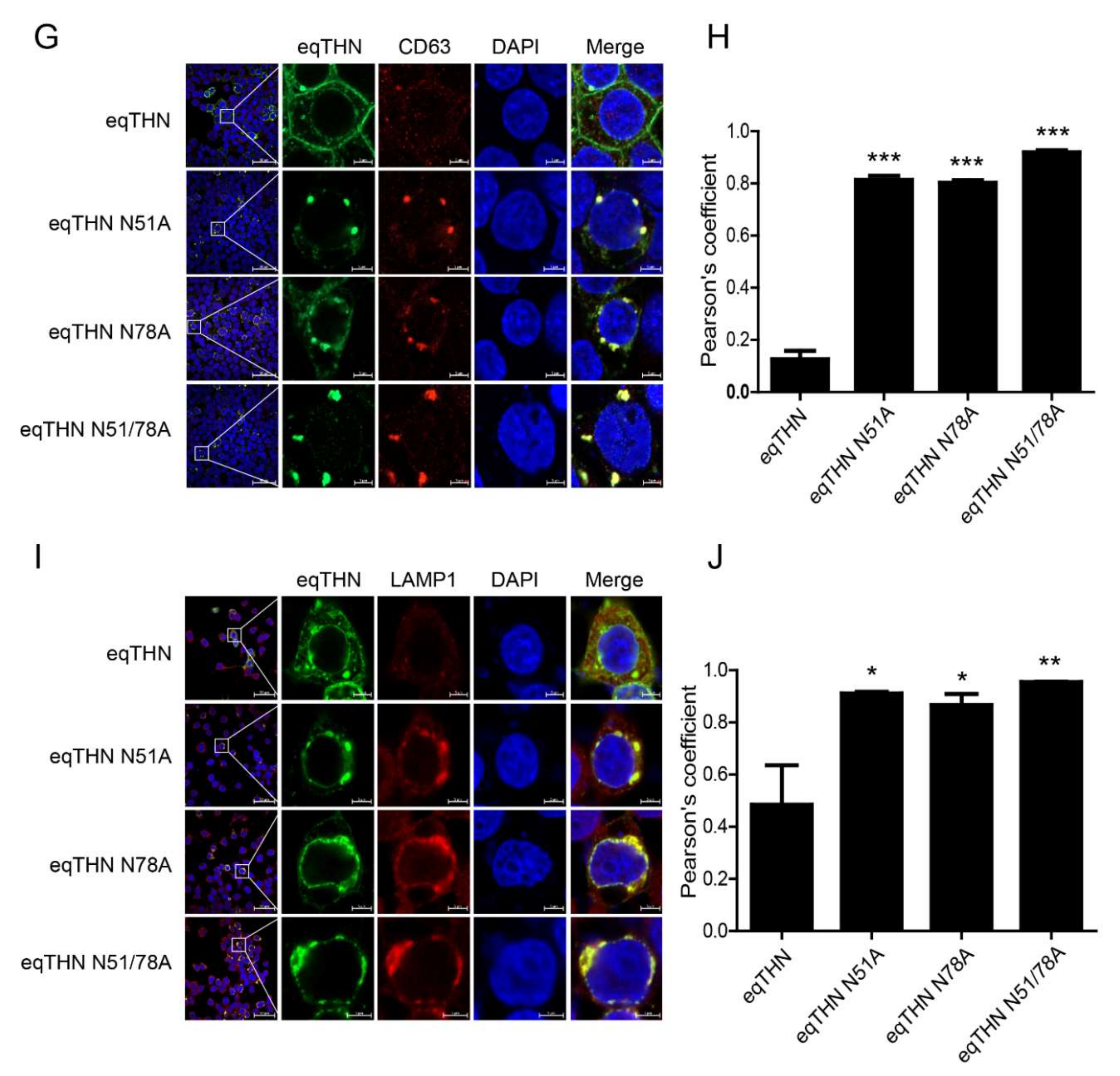 Viruses 12 00220 g004b