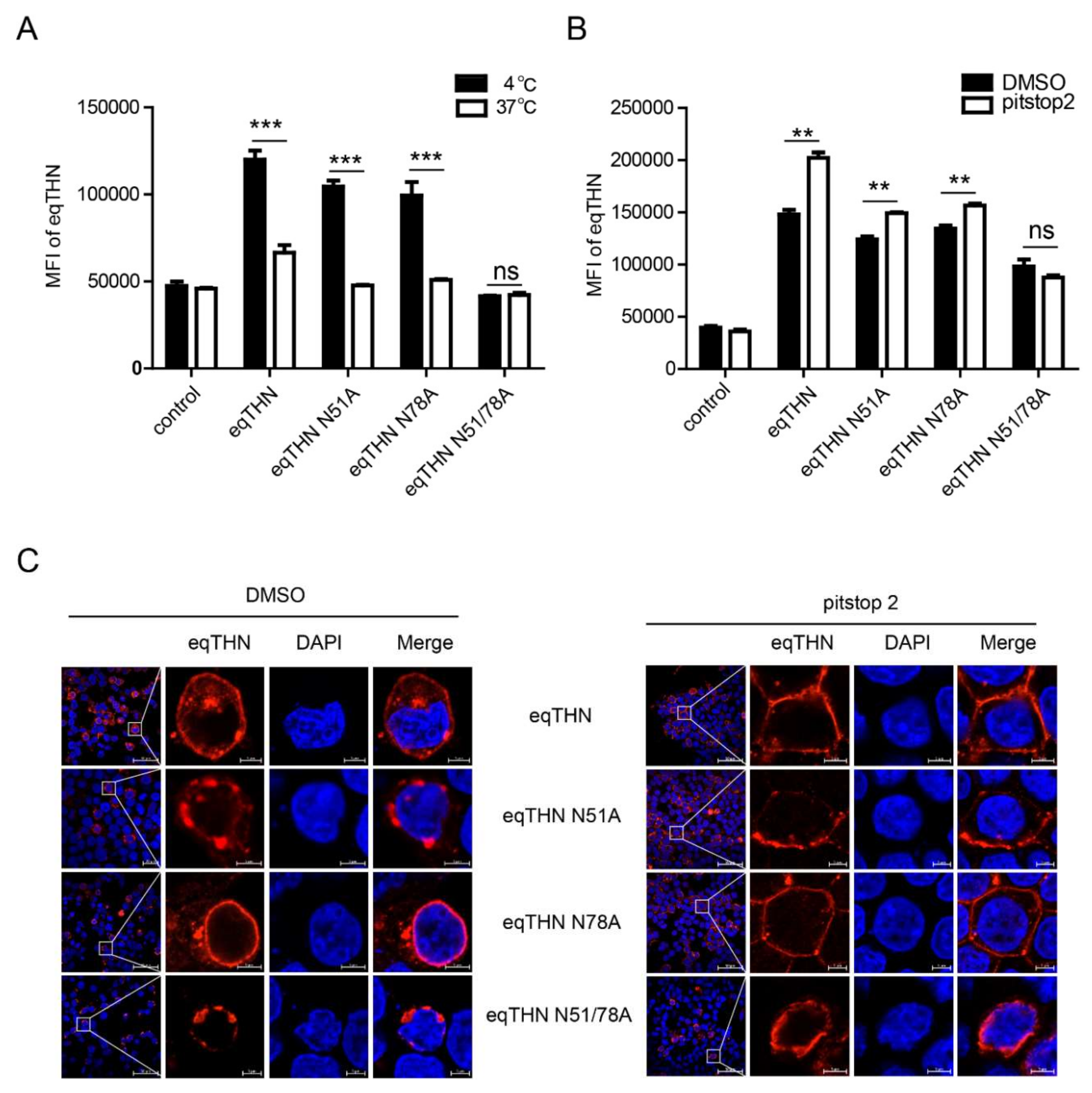 Viruses 12 00220 g005